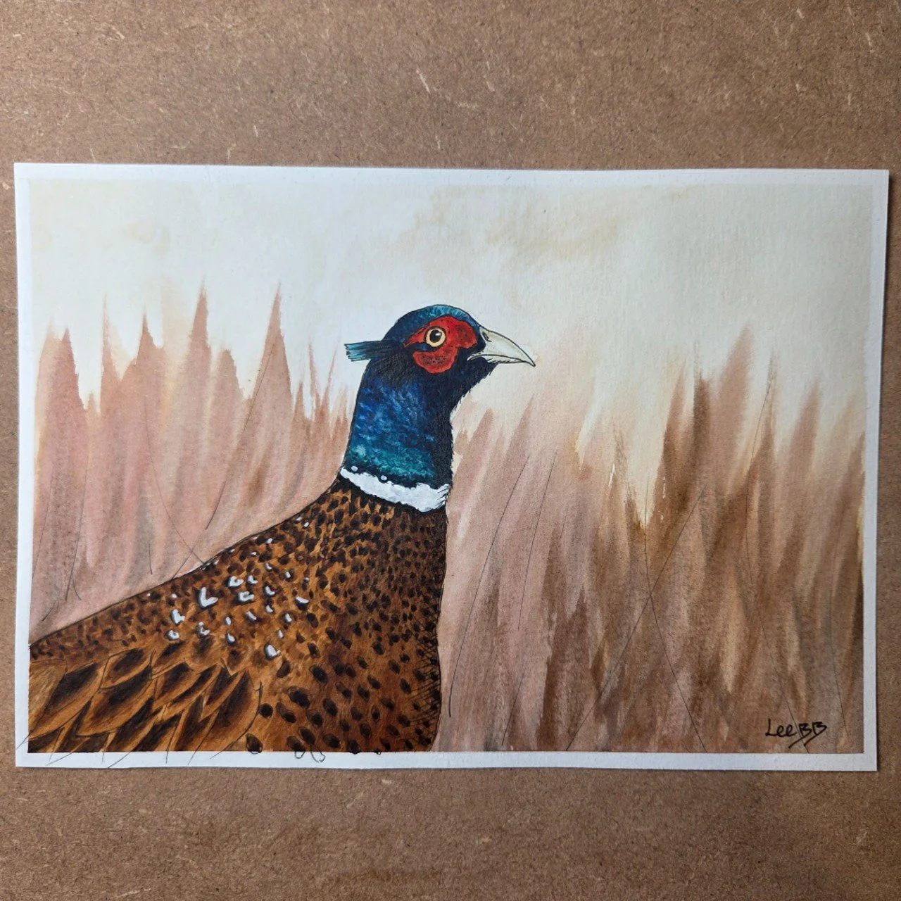 Pheasant 2.png