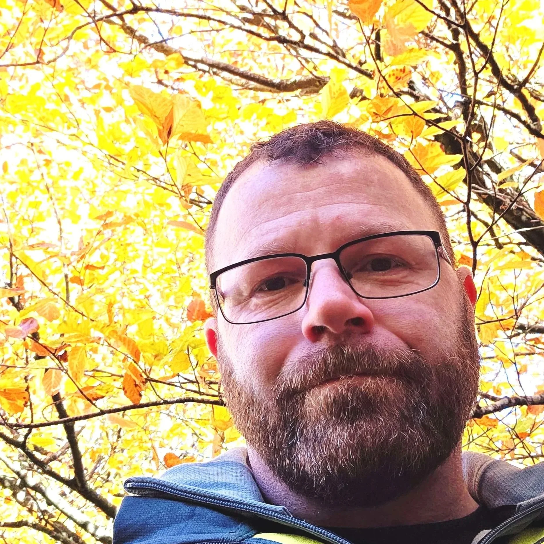 Autumn on Cannock Chase: Golden Walks, Cosy Moments and Artistic Inspiration