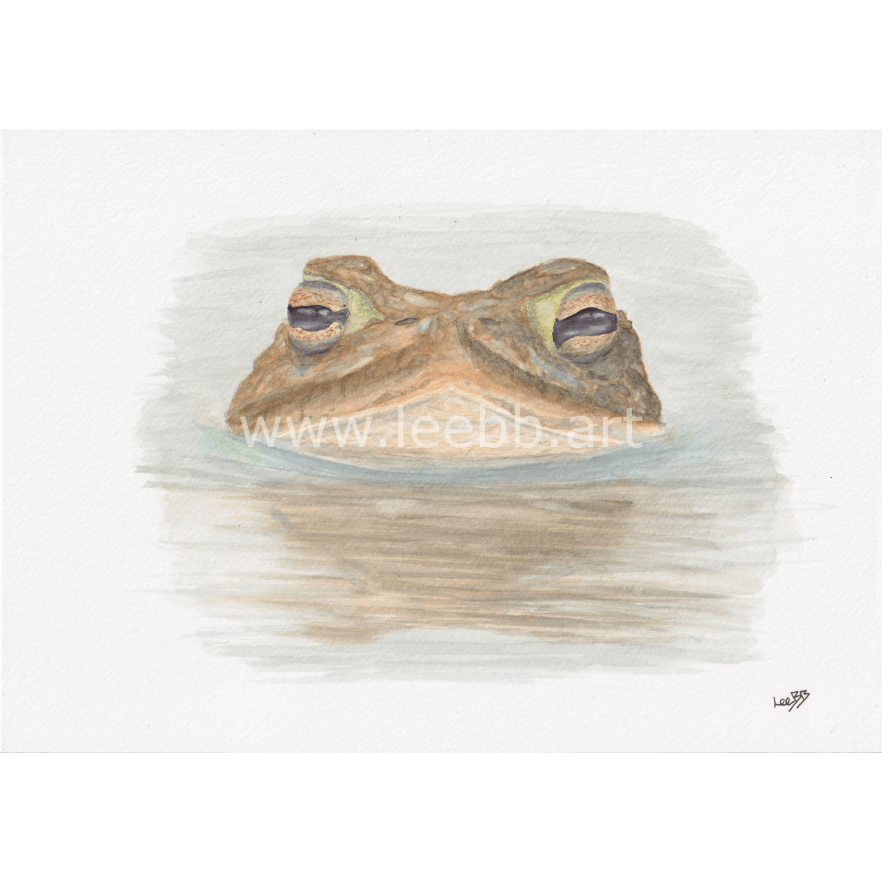 'Peeping Toad' (Original) - SOLD