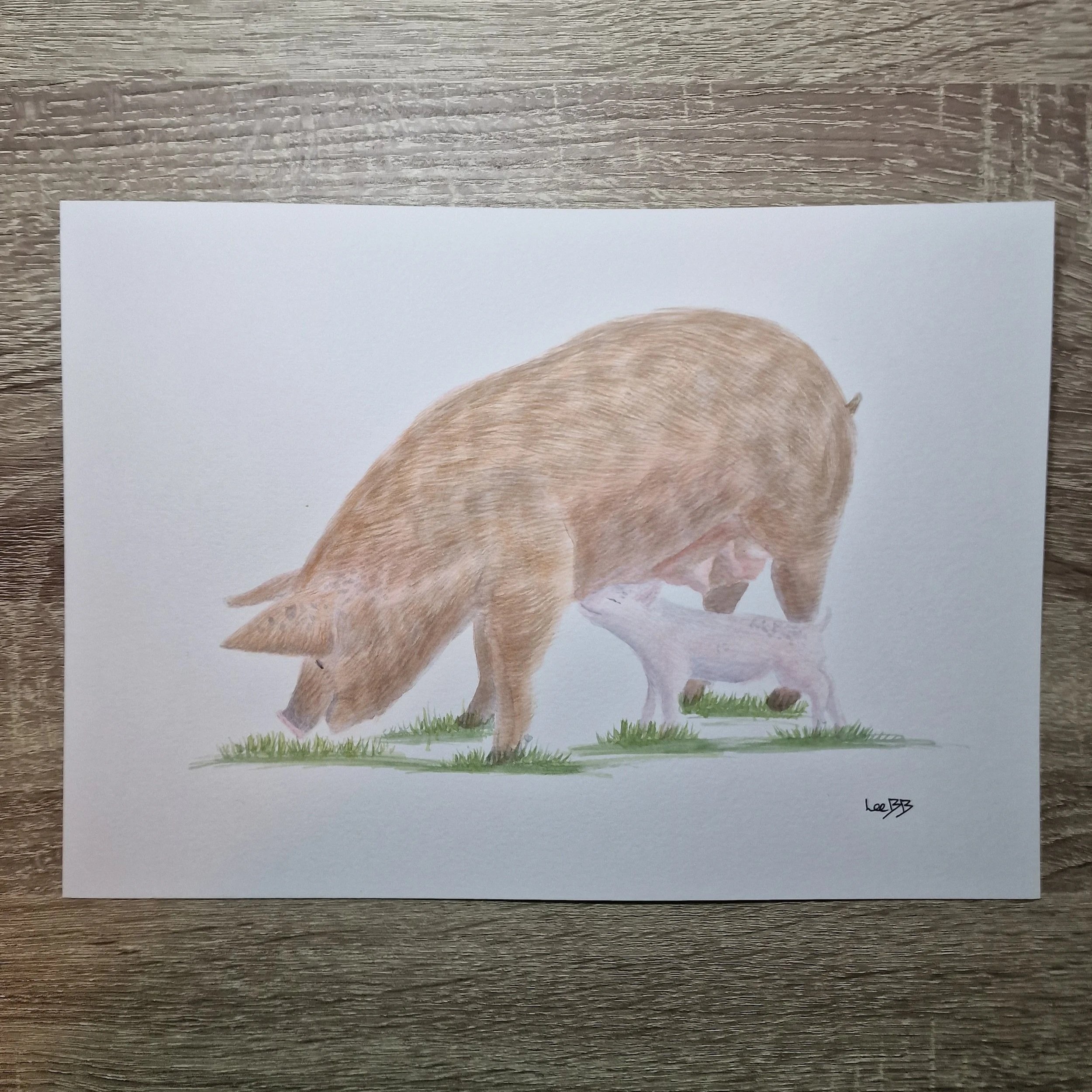 Sow and piglet countryside art print watercolour by LeeBB Art
