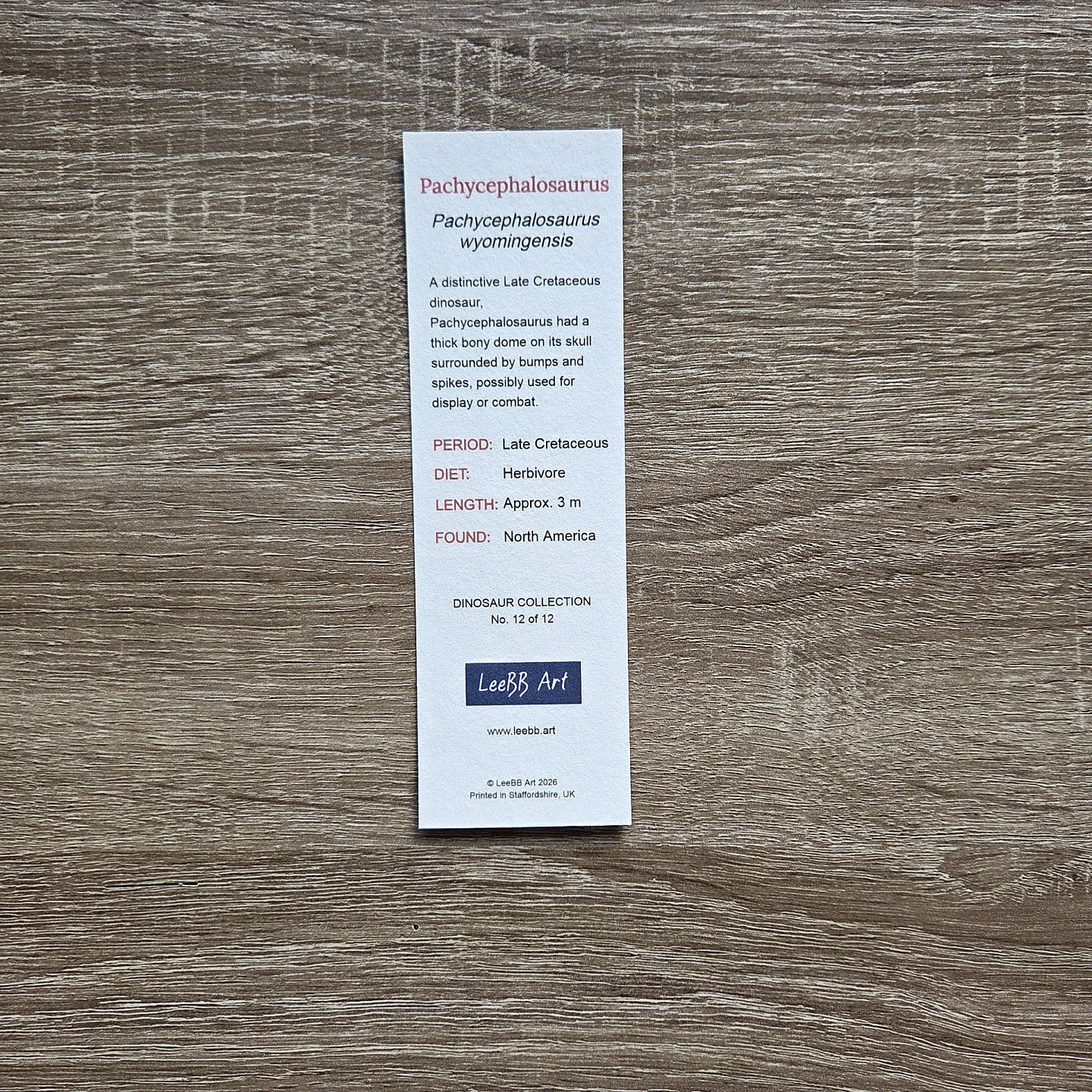 Pachycepholosaurus-Bookmark-Rear-web.jpg