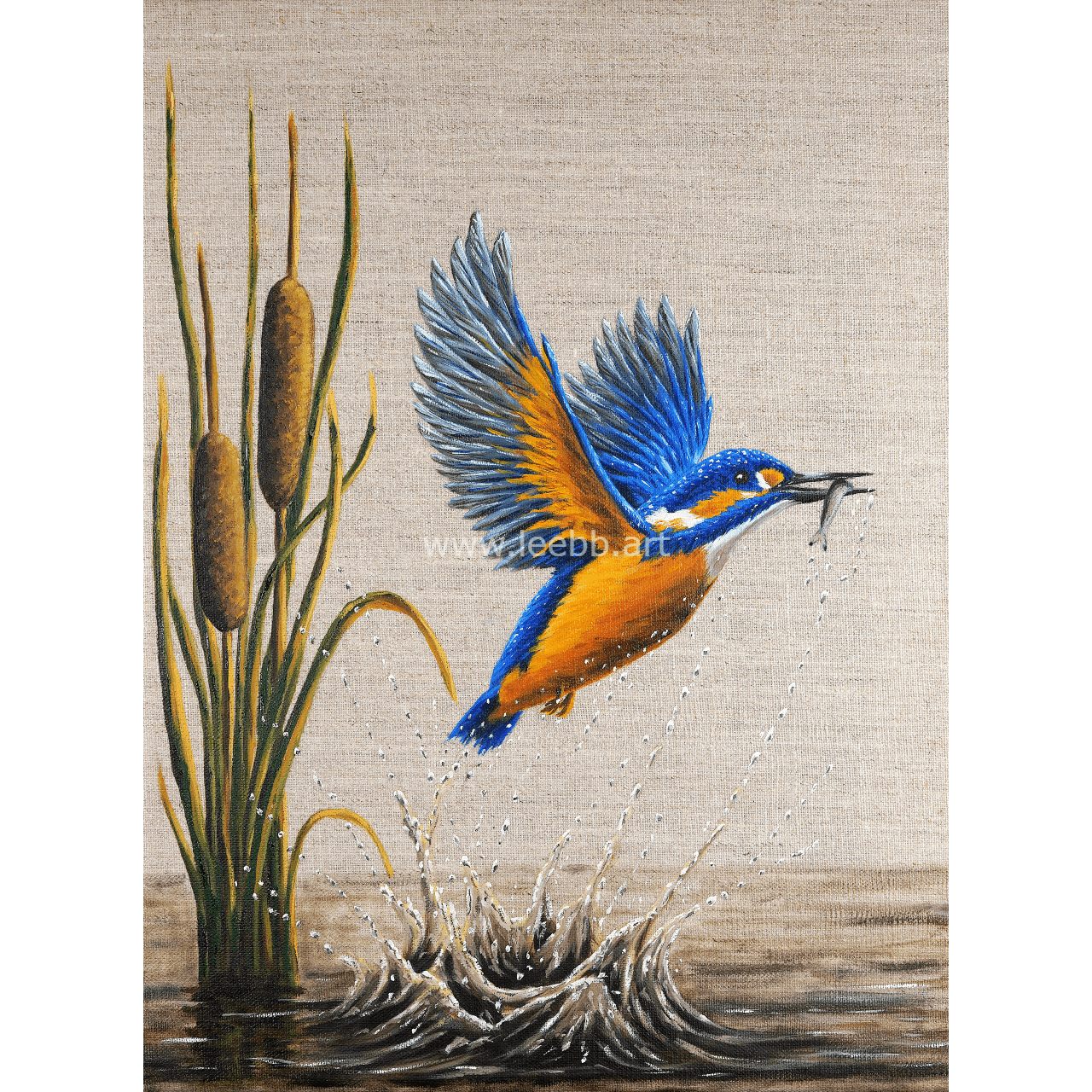 The Fisher King