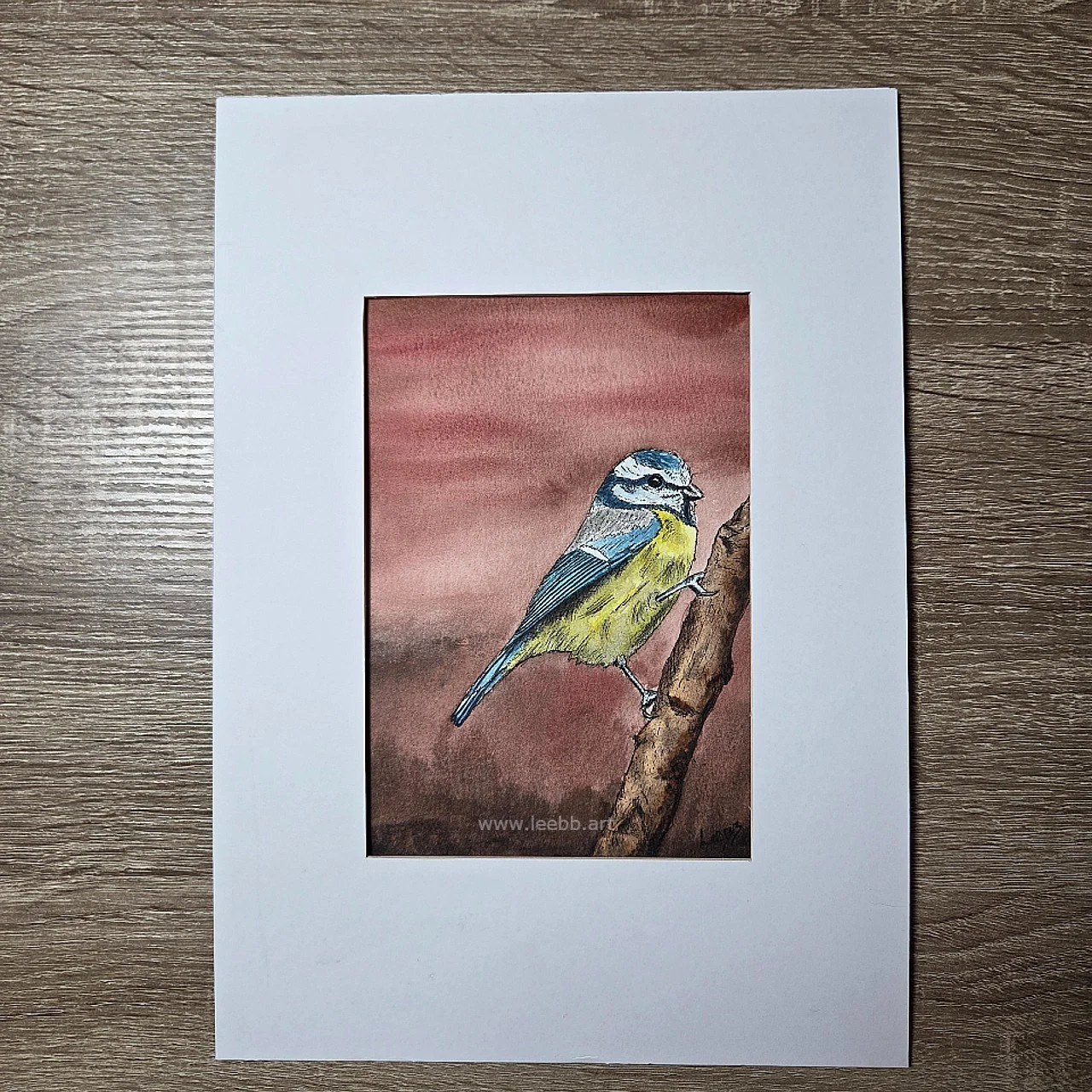 Original blue tit bird artwork in ink and watercolour.