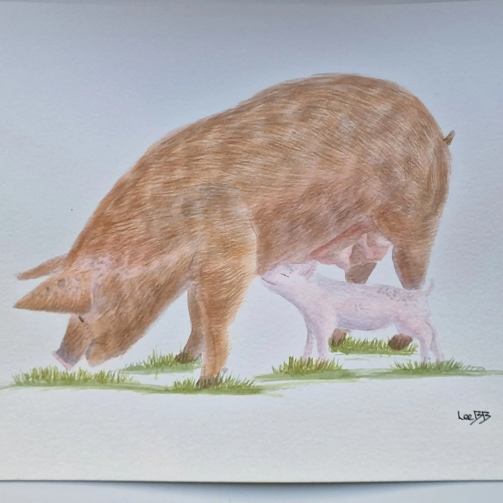 Sow and Piglet original watercolour countryside study by LeeBB Art
