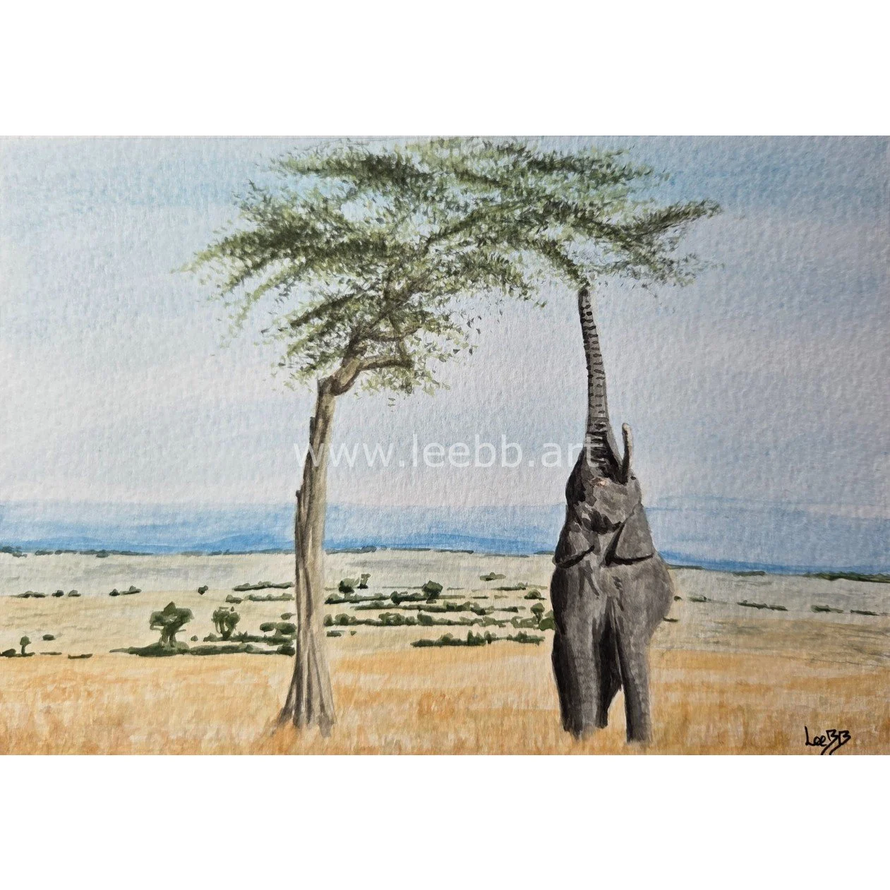 savannah elephant small.jpg