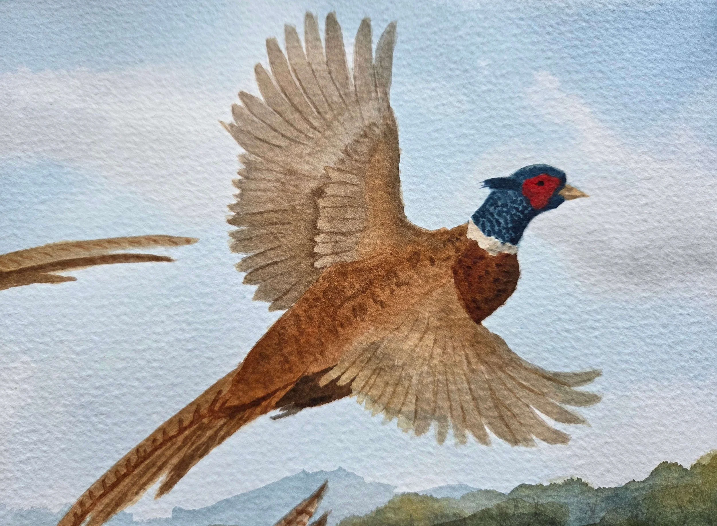 Pheasant's Field Alarm