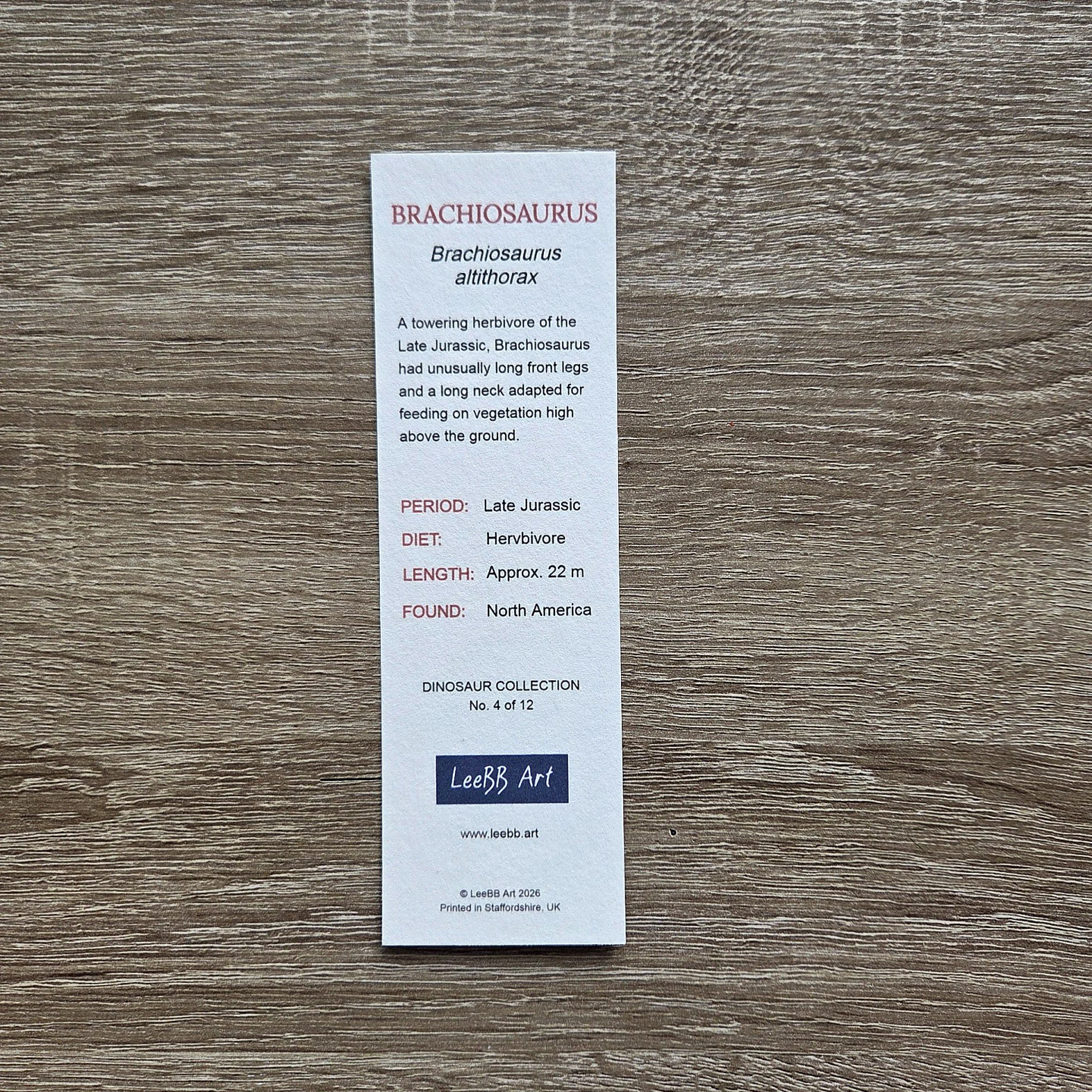 Brachiosaurus-Bookmark-Rear-web.jpg