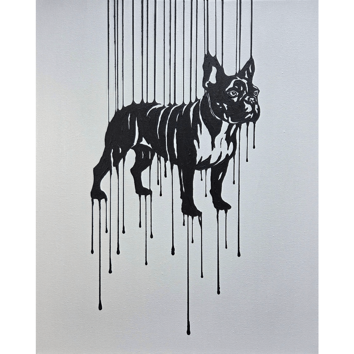 Dripping French Bulldog