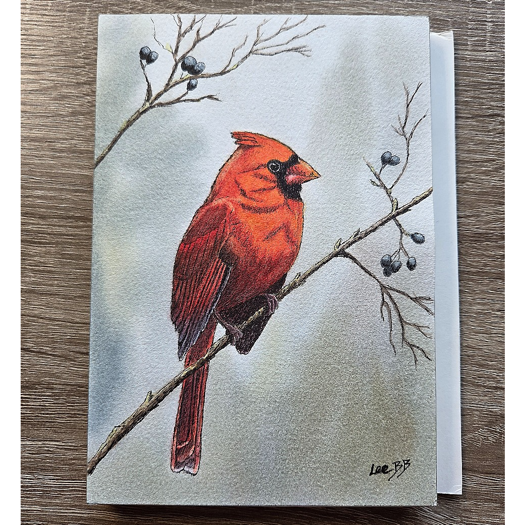 Red Cardinal - Winter Foraging