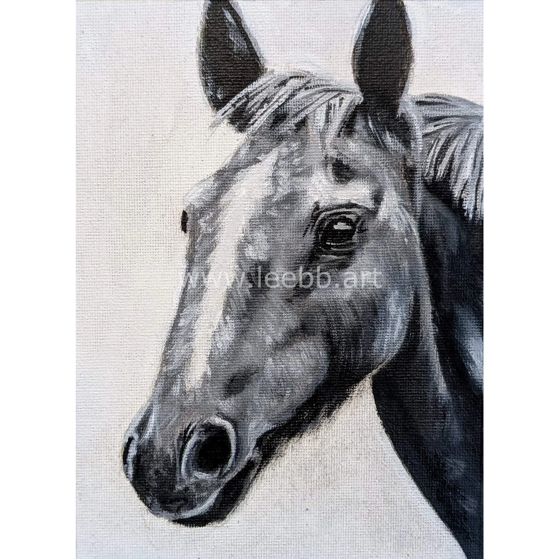 monochrome horse (1).jpg
