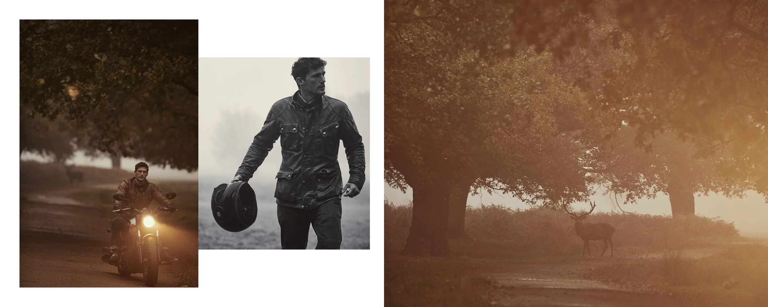 The Motorcycle Diaries - Adam Fussell 2-2.jpeg