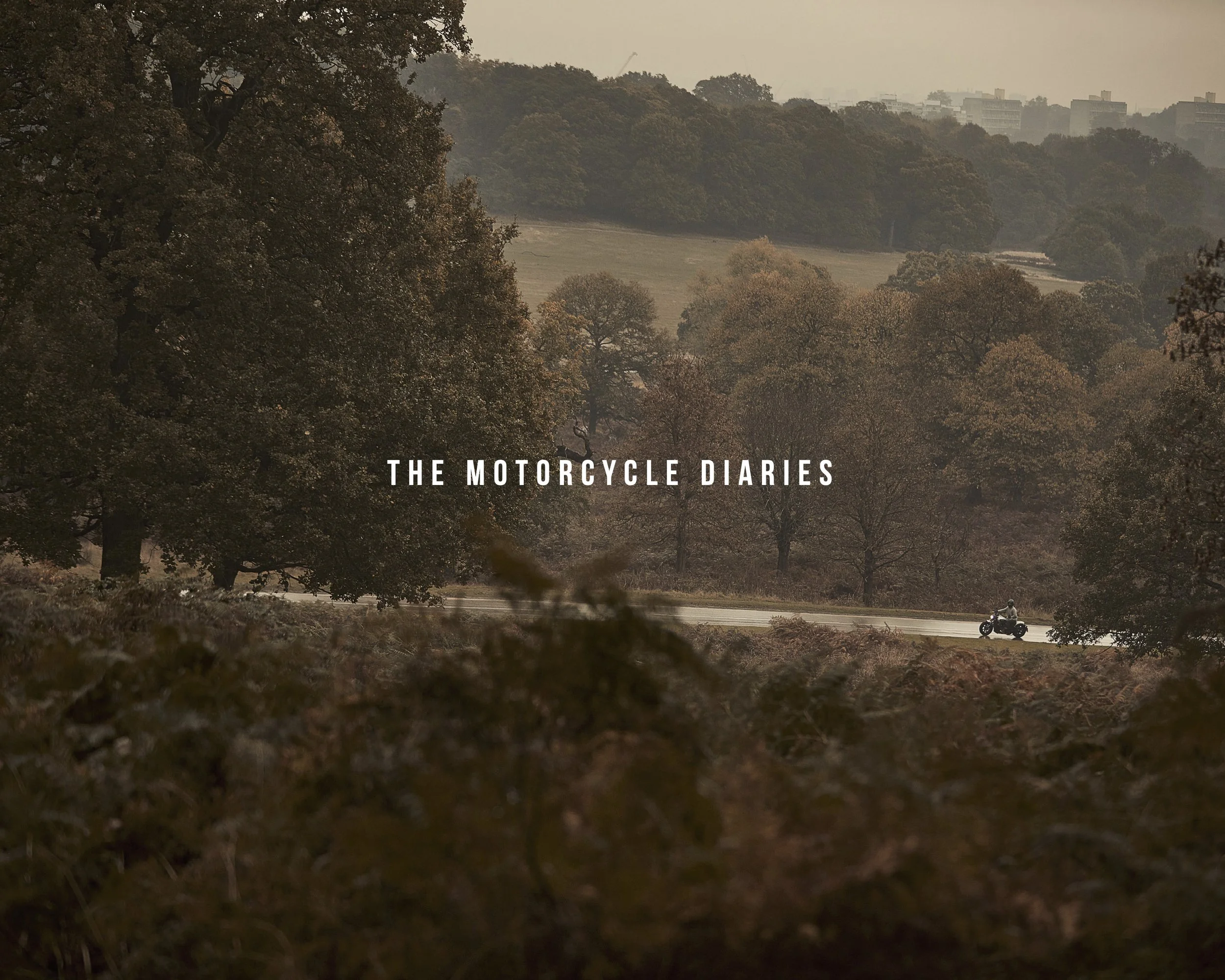 The Motorcycle Diaries - Adam Fussell.jpg