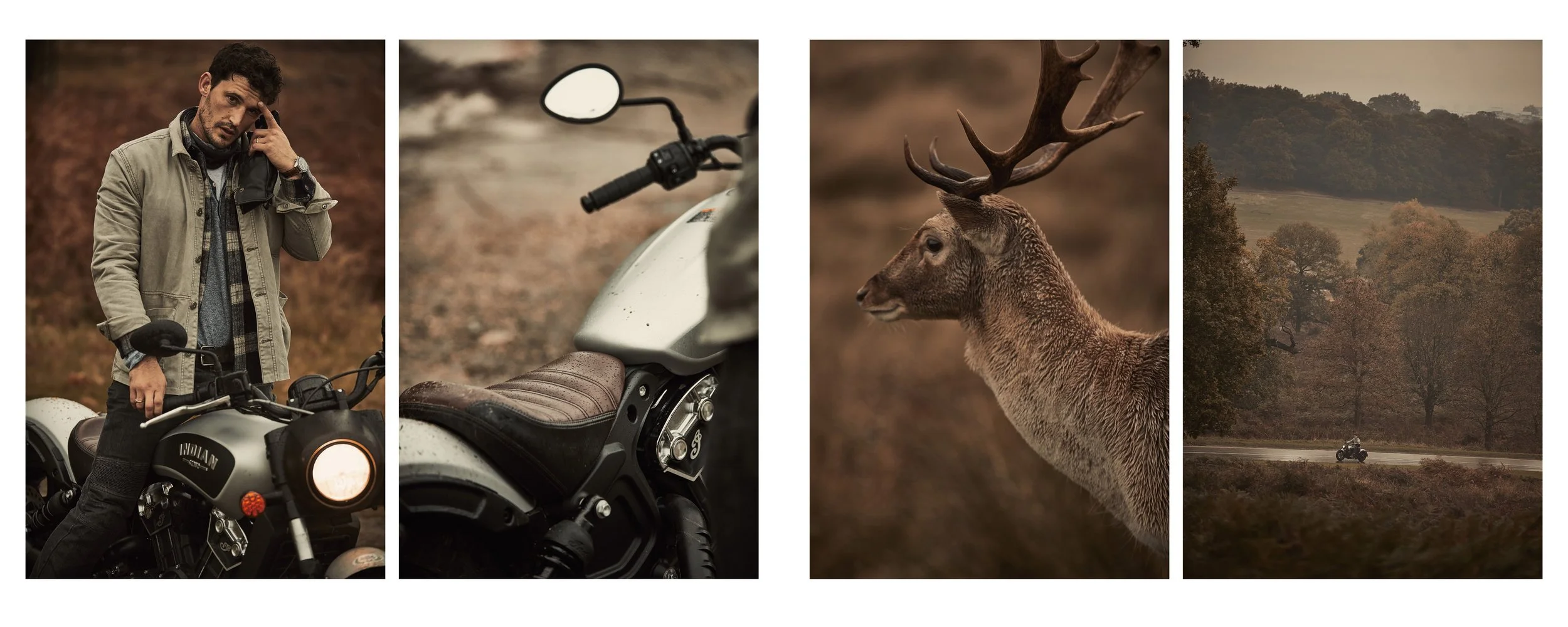 The Motorcycle Diaries - Adam Fussell 11-11.jpeg