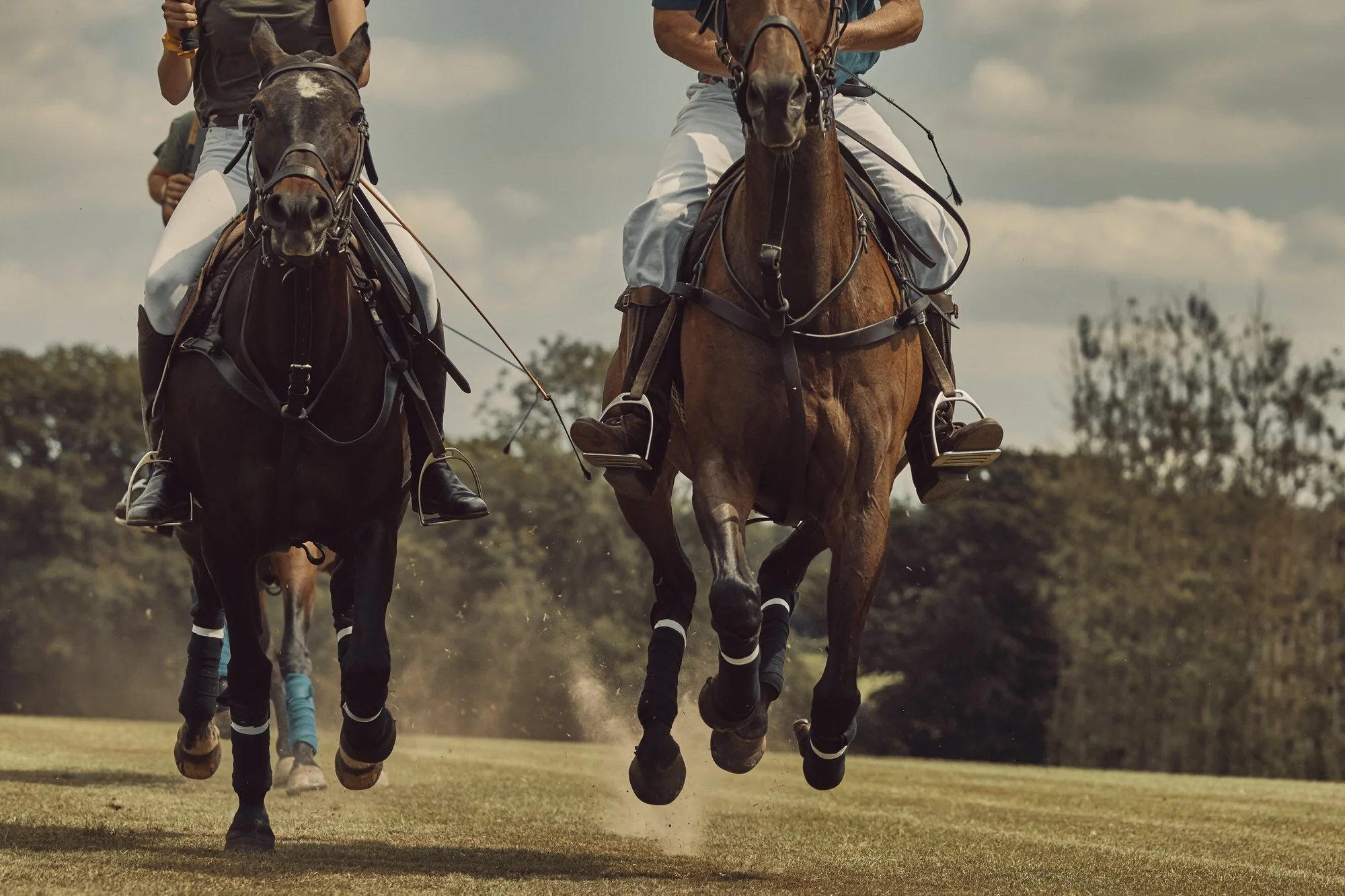 190703_Florris_Polo_7_3813_R.jpg