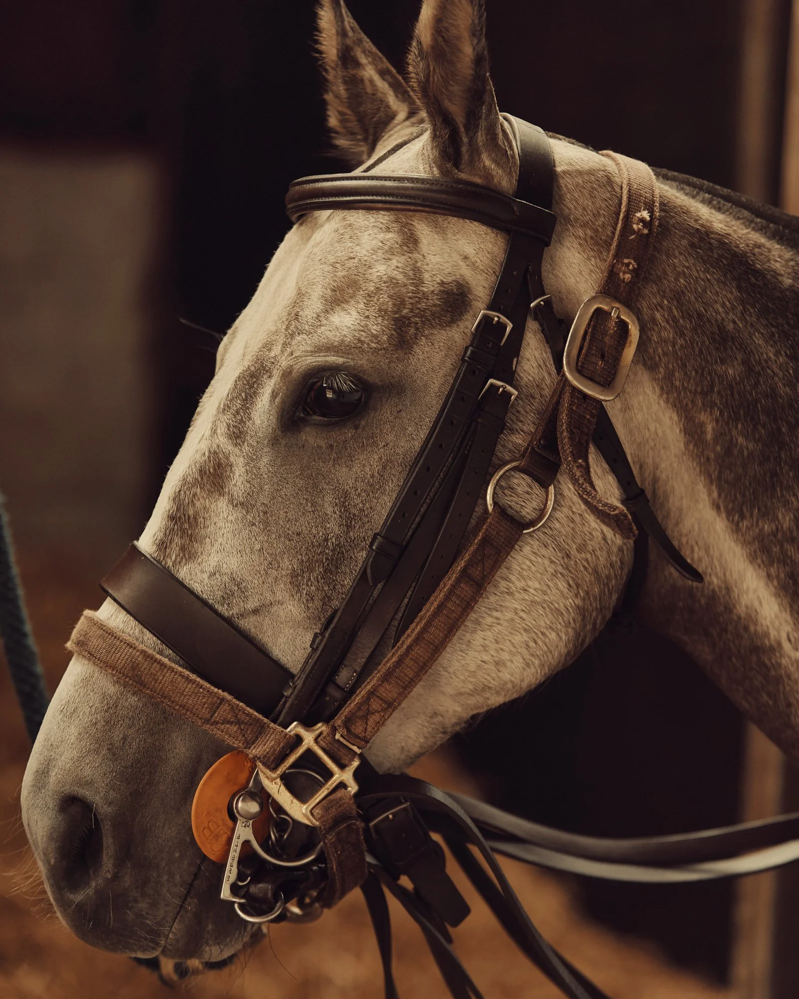 190703_Florris_Polo_1_050_R.jpg