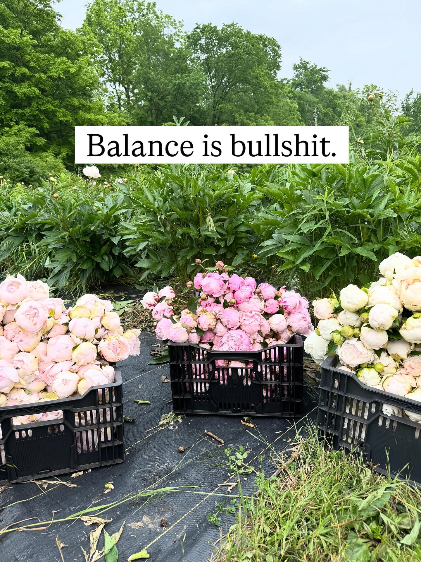 Balance is bullshit.

For the last three weeks:
&bull; The same load of laundry has been &ldquo;washed&rdquo; three times 🙃
&bull; Dinner&rsquo;s been a mix of whatever my husband makes, DoorDash, and &ldquo;fend for yourself&rdquo;
&bull; And I&rsq