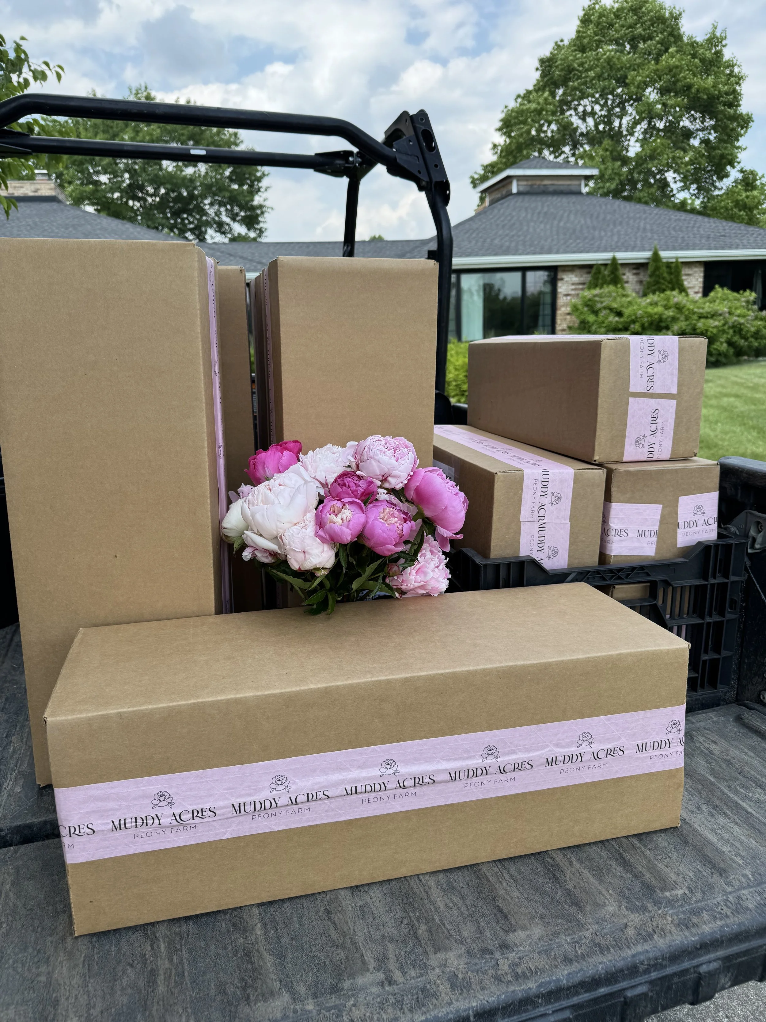 Shipping Peonies: What I Learned, What Worked, and What I’ll Do Differently