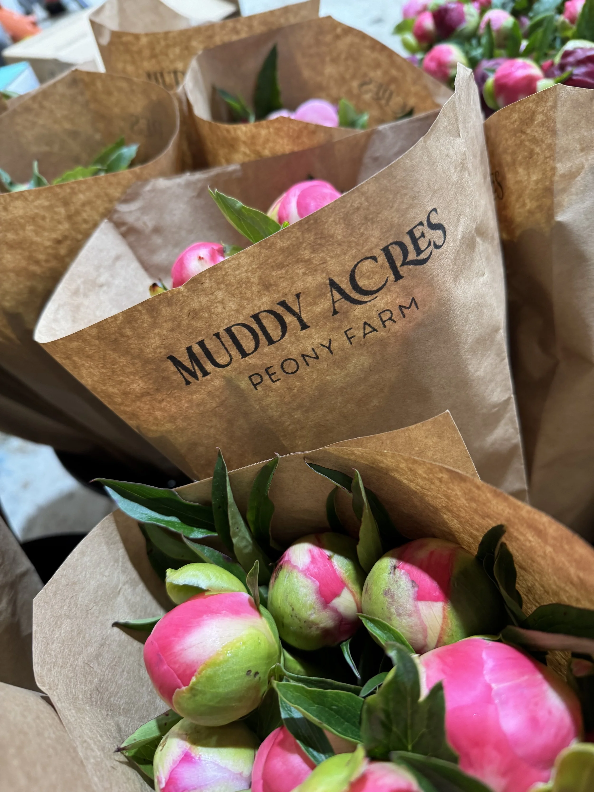 Selling Subscriptions: Inside the Week I Opened the Cart (3 of 4)