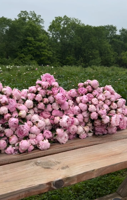 Selling Subscriptions: What Worked, What Didn’t, and What I Learned (4 of 4)