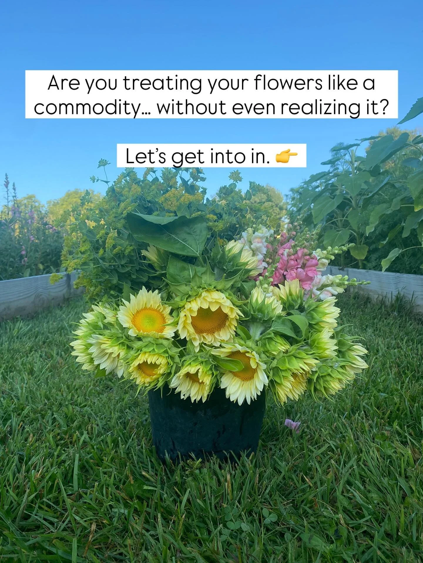 Most growers don&rsquo;t even realize when they&rsquo;ve slipped into the commodity trap&mdash;where your flowers look just like everyone else&rsquo;s, and the only thing left to compete on is price.

But price is the worst hill to fight on&mdash;it&