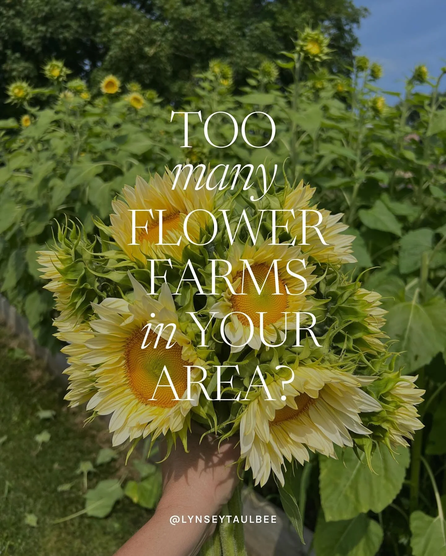 &ldquo;There&rsquo;s just too much competition in my area.&rdquo;

I hear that one all the time from growers.

But here&rsquo;s the truth: competition isn&rsquo;t the problem, blending in is.

When you try to be everything to everyone, you become for