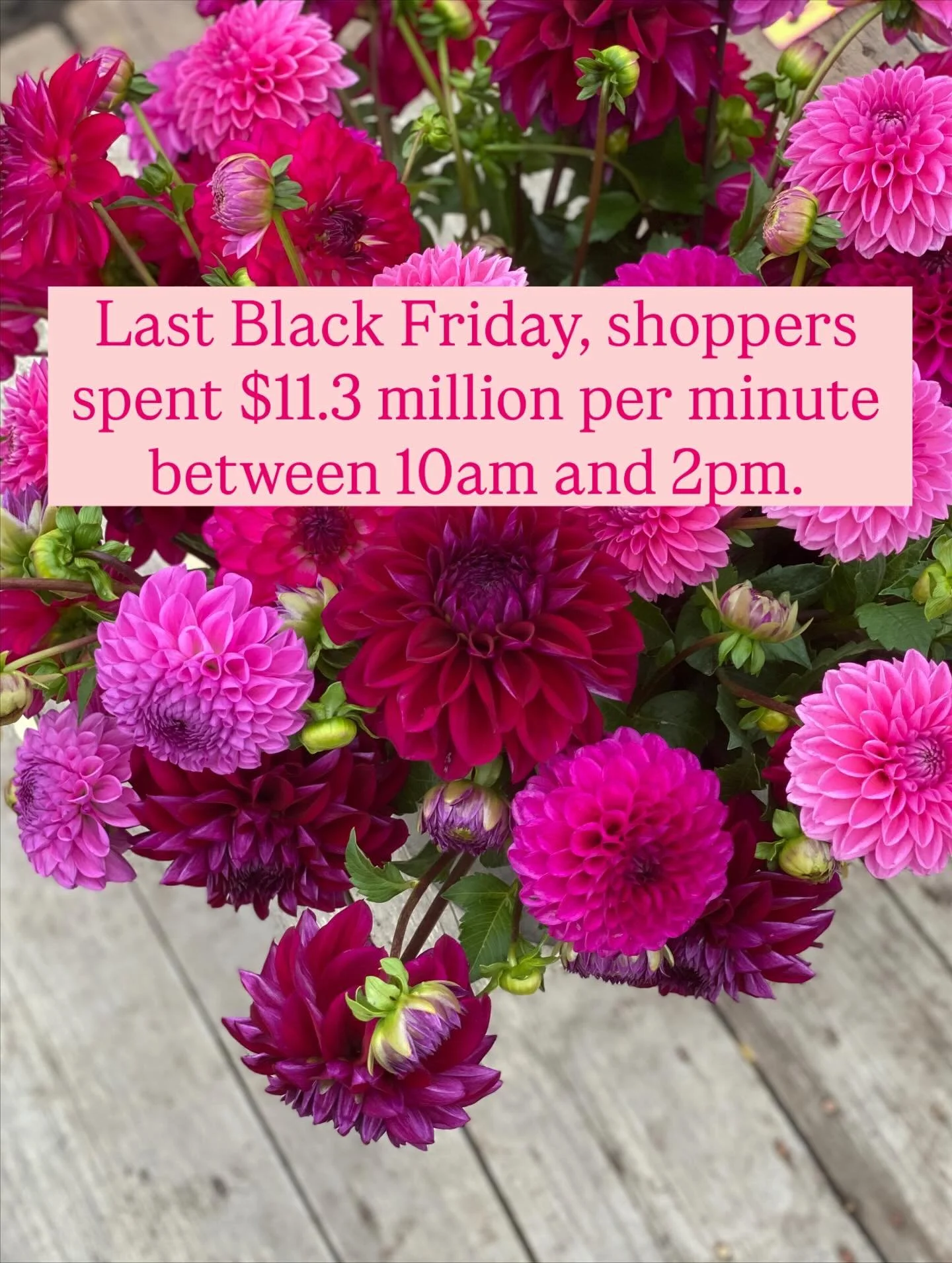 Last Black Friday, shoppers spent $11.3 million per minute between 10am and 2pm.
Per. Minute.
Millions were spent.
But so many flower farms miss out because they don’t participate.
Spoiler alert: fresh flowers aren’t necessary to join