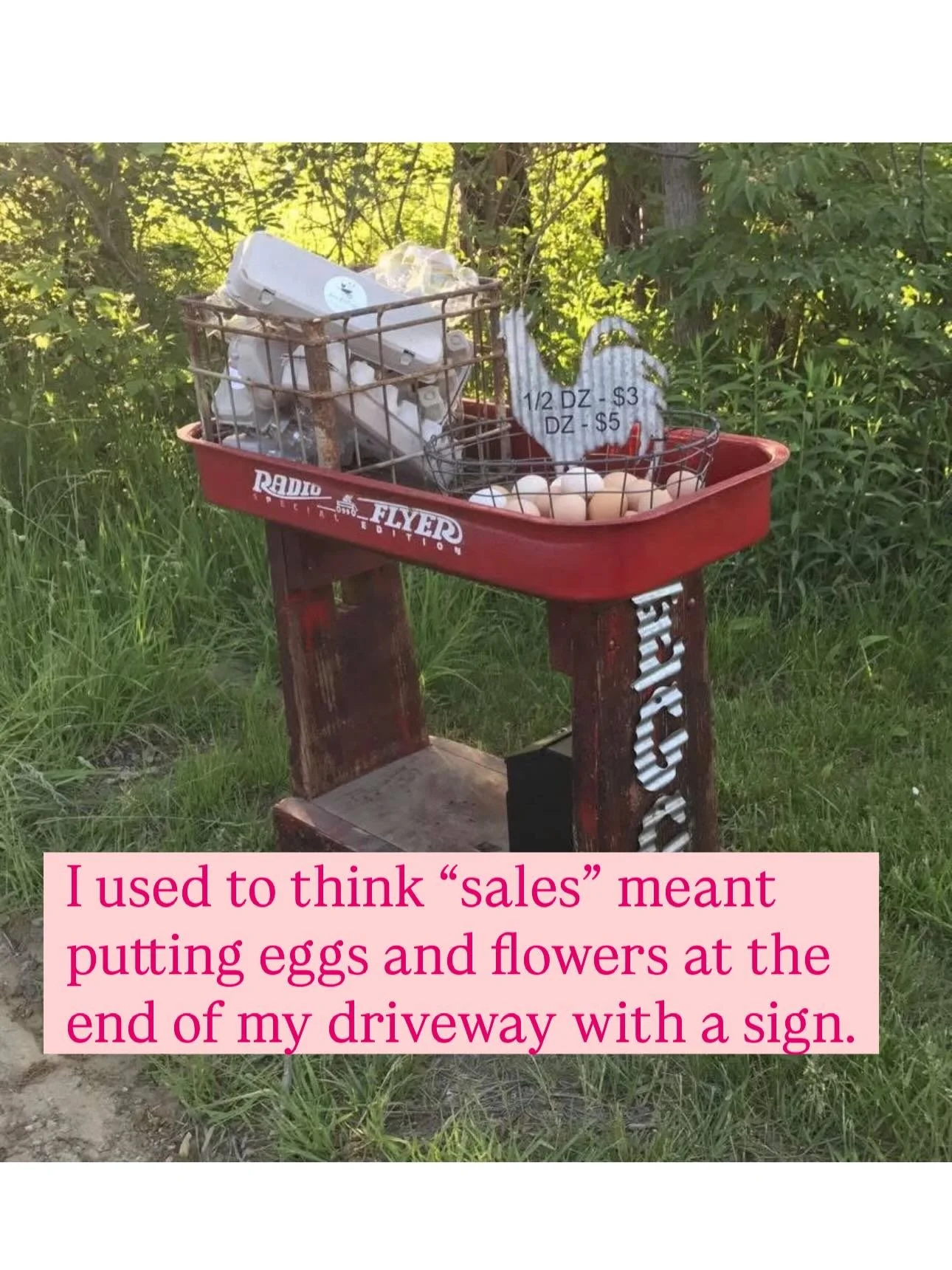 Comment BF to learn more! (This deal is available today only as part of our Black Friday Week of Deals)

I used to think &ldquo;sales&rdquo; meant putting eggs and flowers at the end of my driveway with a sign.

I used to think &ldquo;sales&rdquo; me
