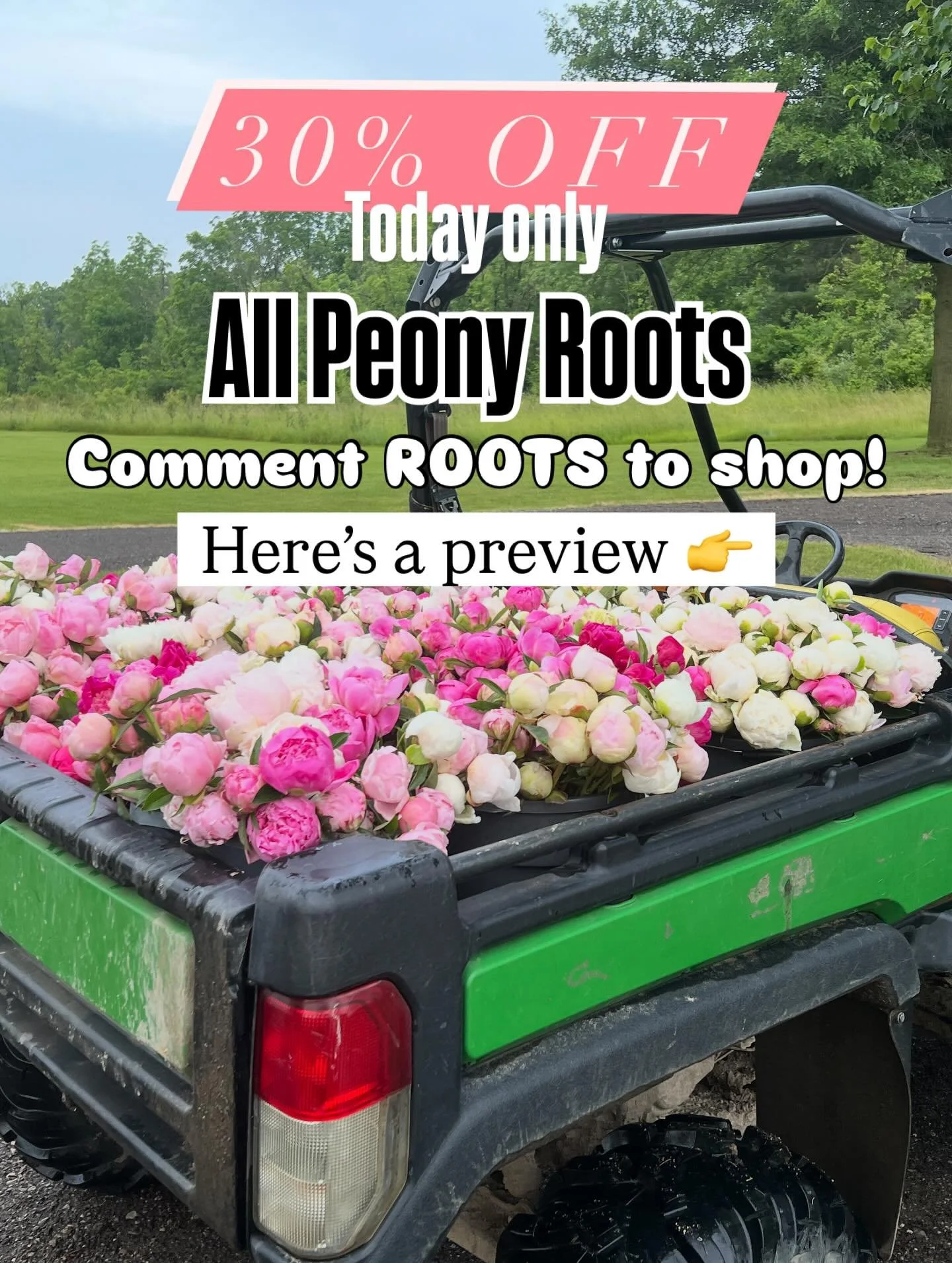 Welcome to Day 4 of the Black Friday Week of Deals. For today only, take 30% off all remaining peony roots. Comment ROOTS to shop!

- Roots will ship in the spring 
- All roots are 3-5 eye