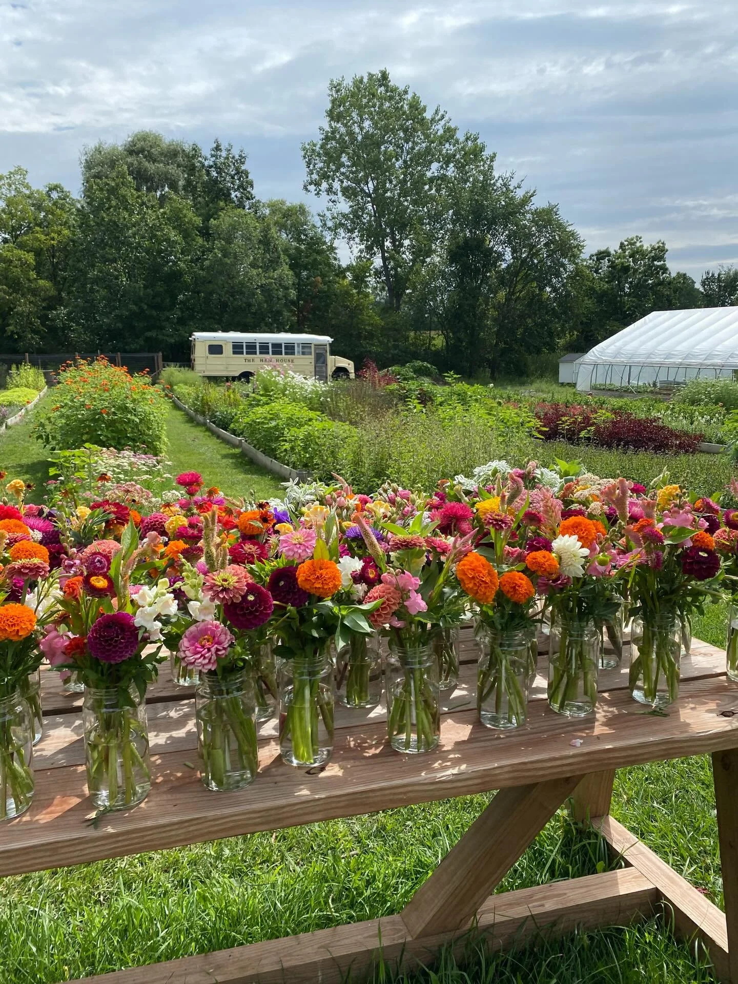 Tbh &mdash; I kind of hate social media right now. (Yet I still jump on every day 😏)

The noise.
The agenda pushing.
The political firing from every direction.

Most days I&rsquo;m ready to execute the 12-step plan I created in my head to take my bu