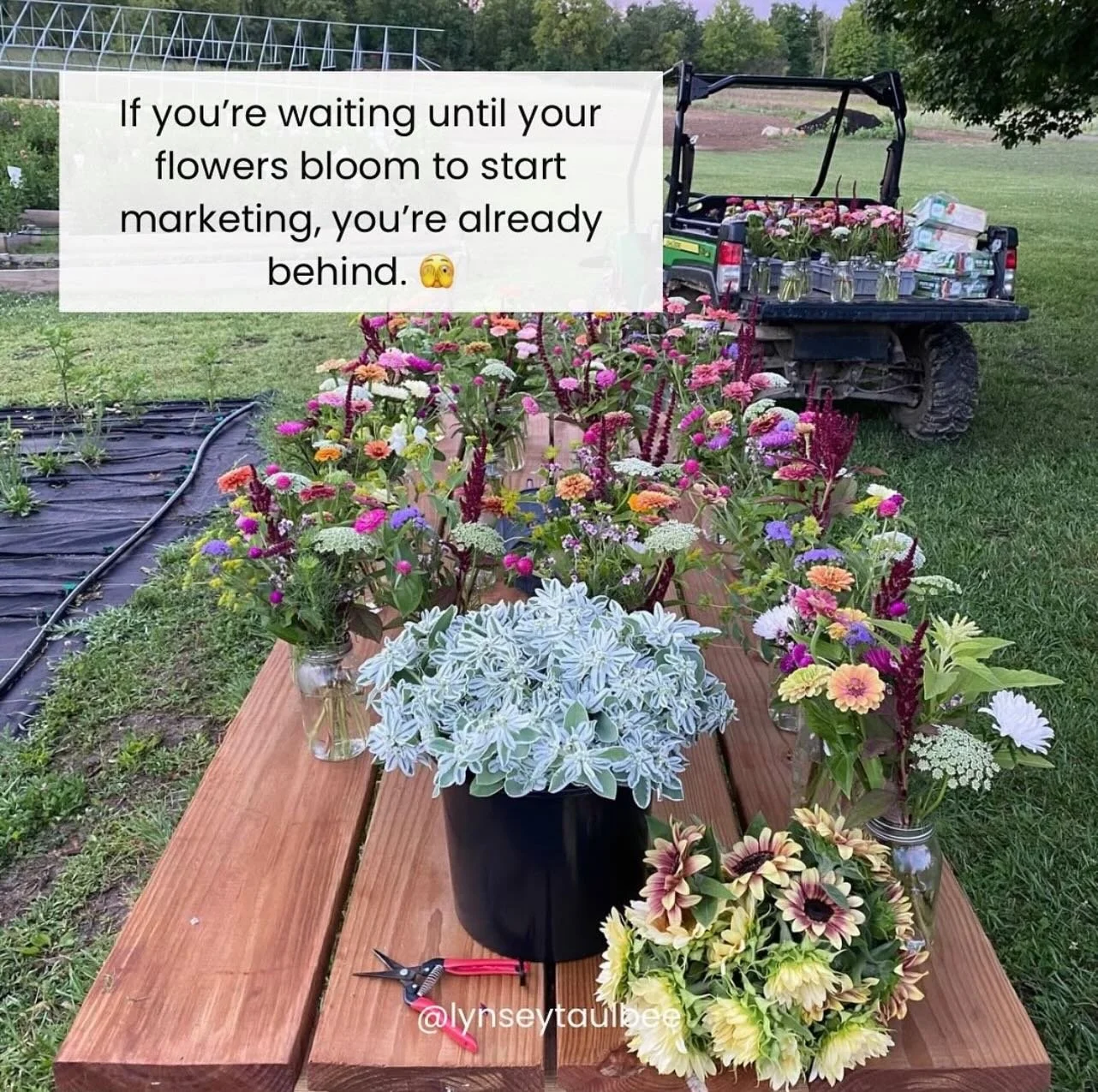 If you&rsquo;re waiting until your flowers bloom to start marketing, you&rsquo;re already behind.

Marketing isn&rsquo;t just about selling&mdash;it&rsquo;s about building interest, trust, and excitement long before you have something to offer. Peopl