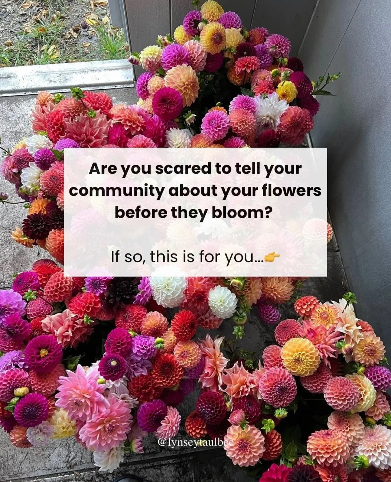 Doors close today! Comment WINTER to jump into my free mini course that gives you a step by step action plan to get your community excited about what&rsquo;s to come!