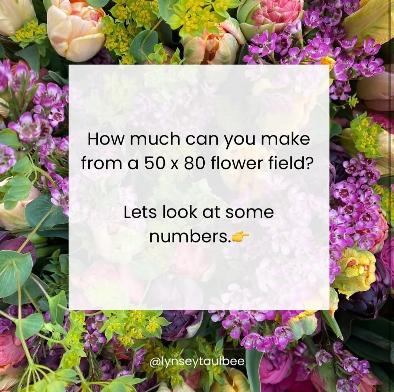 A few key takeaways:
🌱 You don&rsquo;t need a lot of space. An acre seems to be this magical size, but an acre of flowers is a LOT!
🌱 Instead of growing more flowers, sell more of the flowers you do grow.
🌱 Cut and come again varieties are 💯!