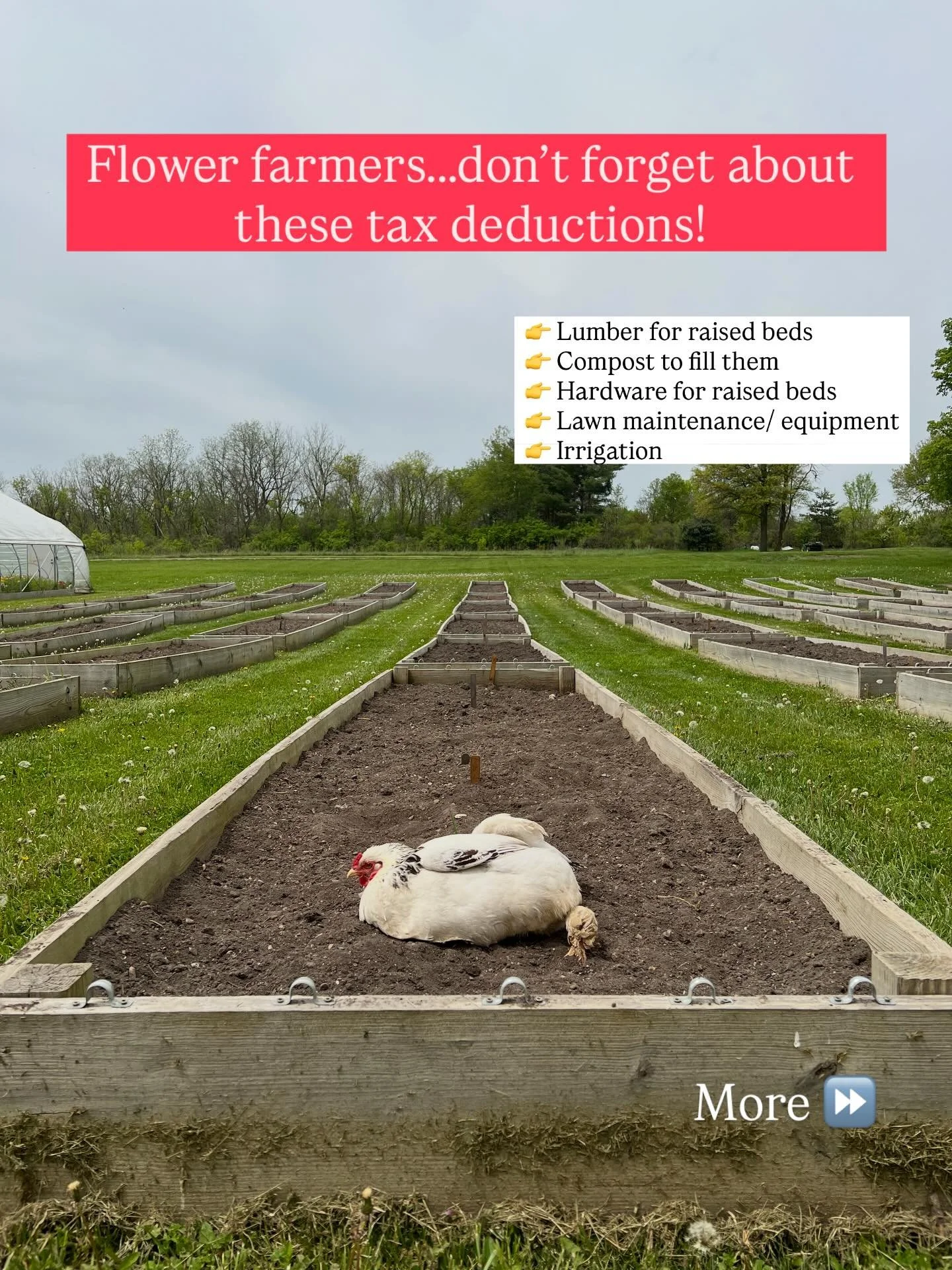 Tax season reminder: don&rsquo;t leave money on the table.

If you&rsquo;re growing and selling flowers, you should be deducting as much as possible so more of your revenue stays in your pocket.

For a complete list of possible deductions for flower 