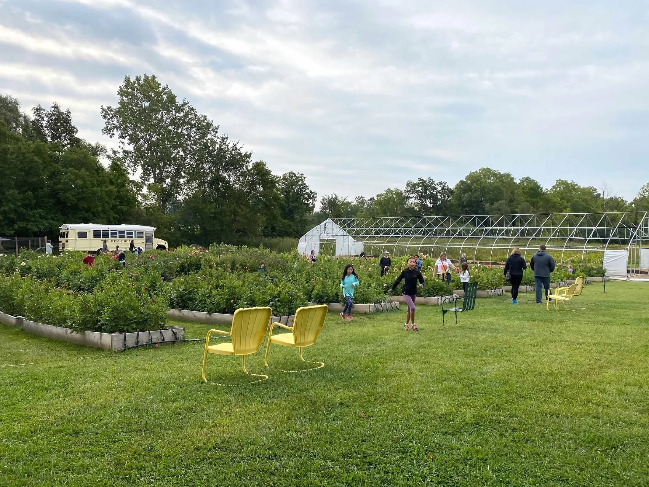 A u-pick at Muddy Acres Flower Farm using raised beds with irrigation.