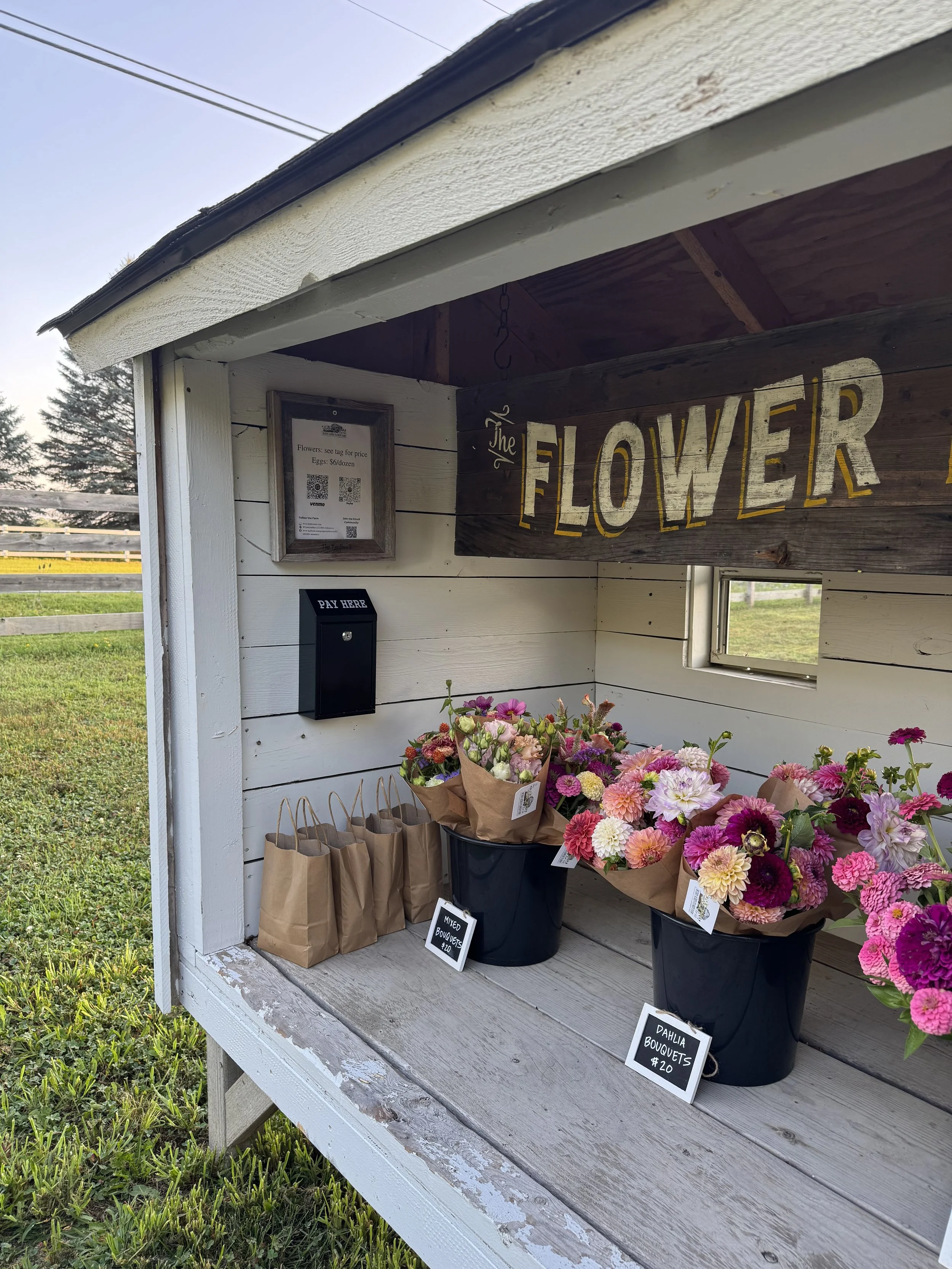 The flower stand at Muddy Acres Flower Farm