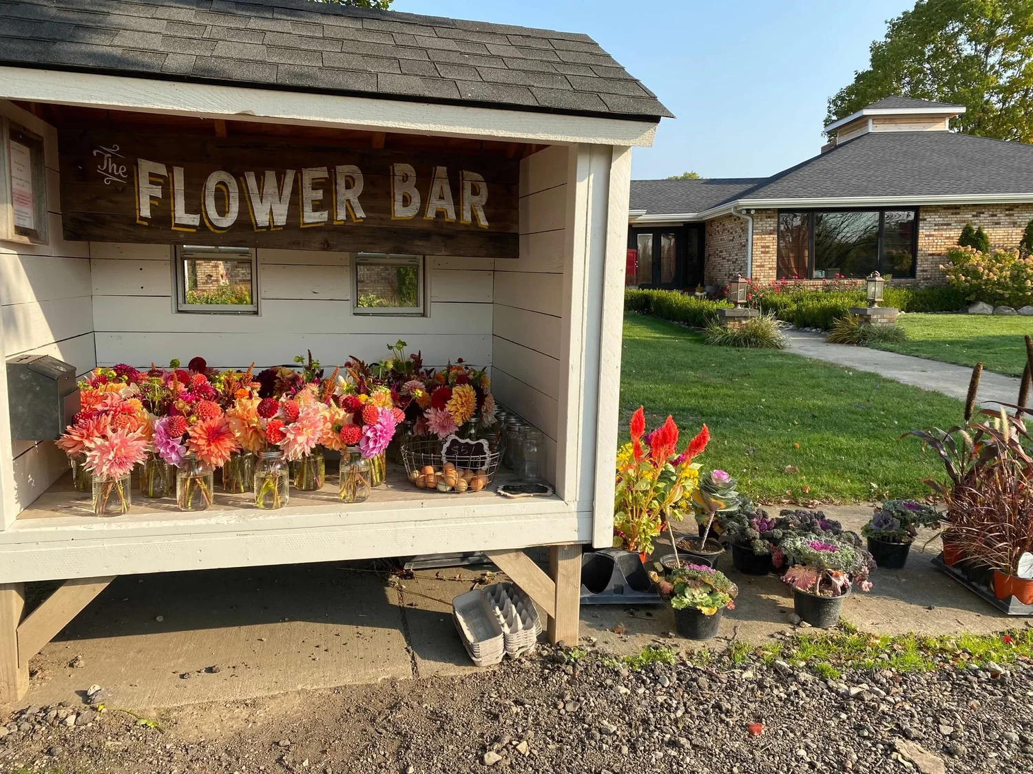 Blooming Success Your Guide to Opening a Profitable Roadside Flower