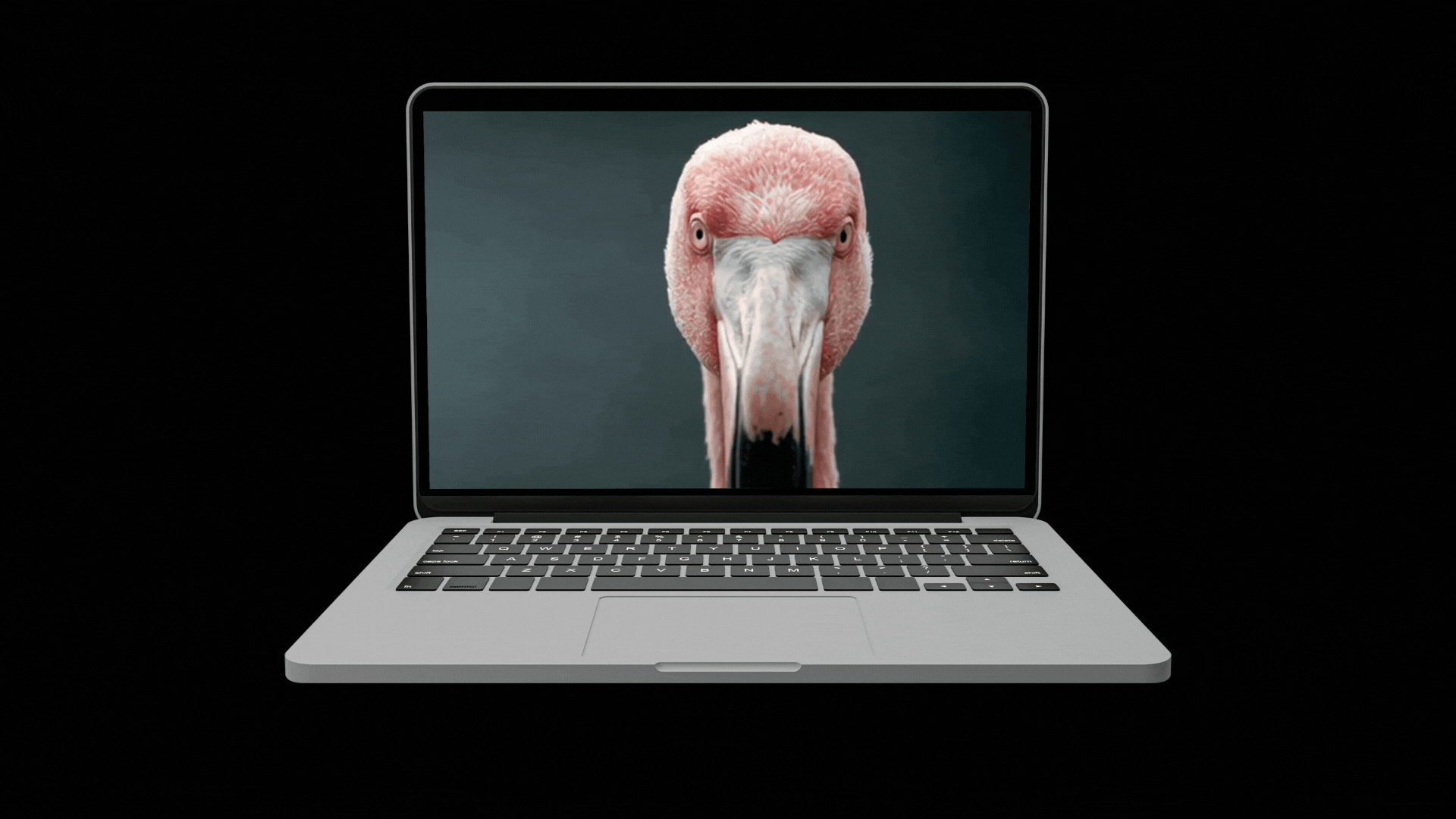 We’re Back and Better: Explore Our New web experience and features.