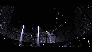 6.gif