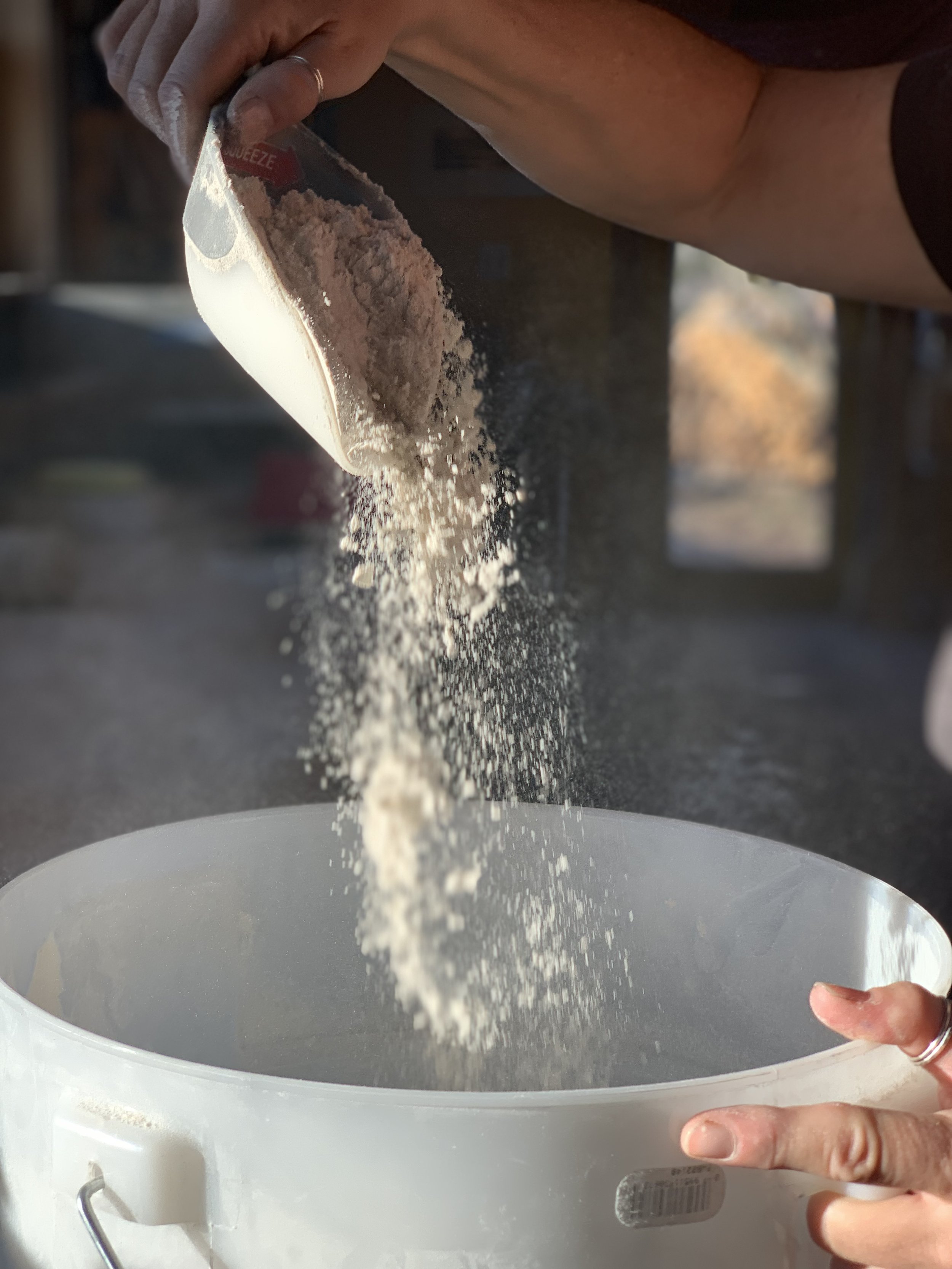 a scoop of grain going into a bucket