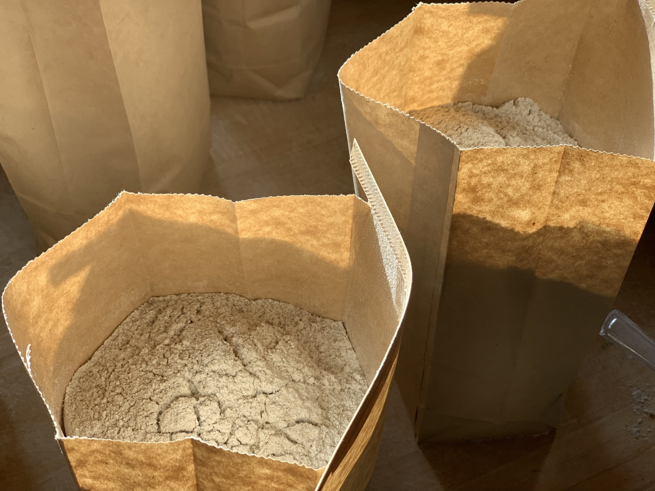 bags of grain ready for sale