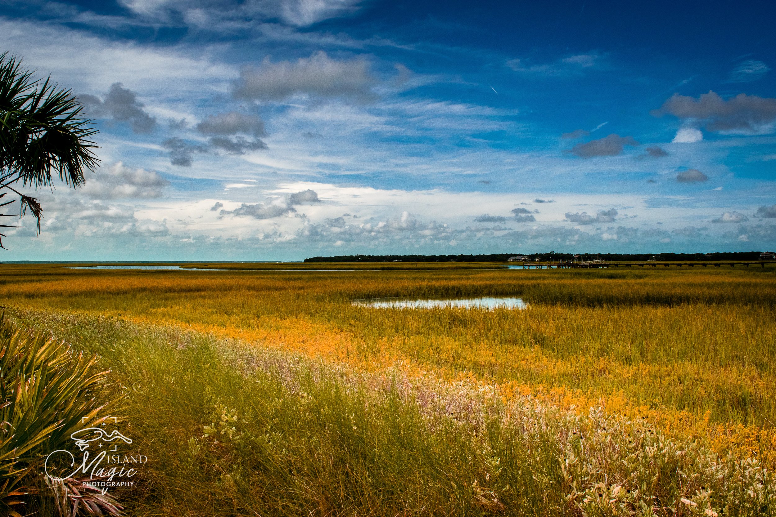 The Marsh at Piney Point