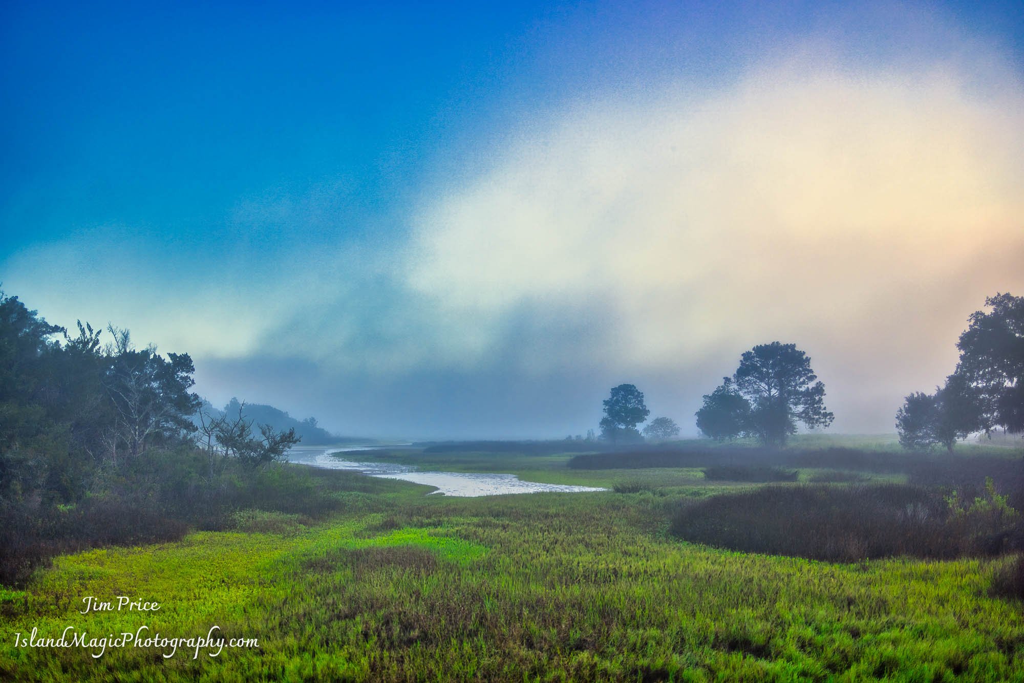 Misty Marsh Morning 1