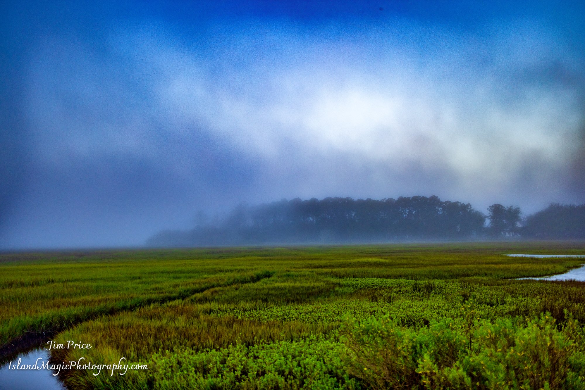 Crane Island Park Misty 3464-2.jpg