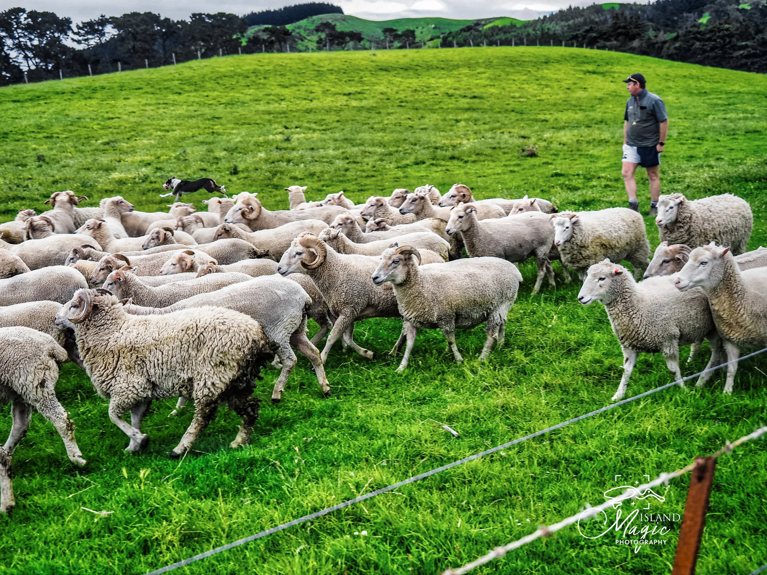 Glenafric farm 3180070-.jpg