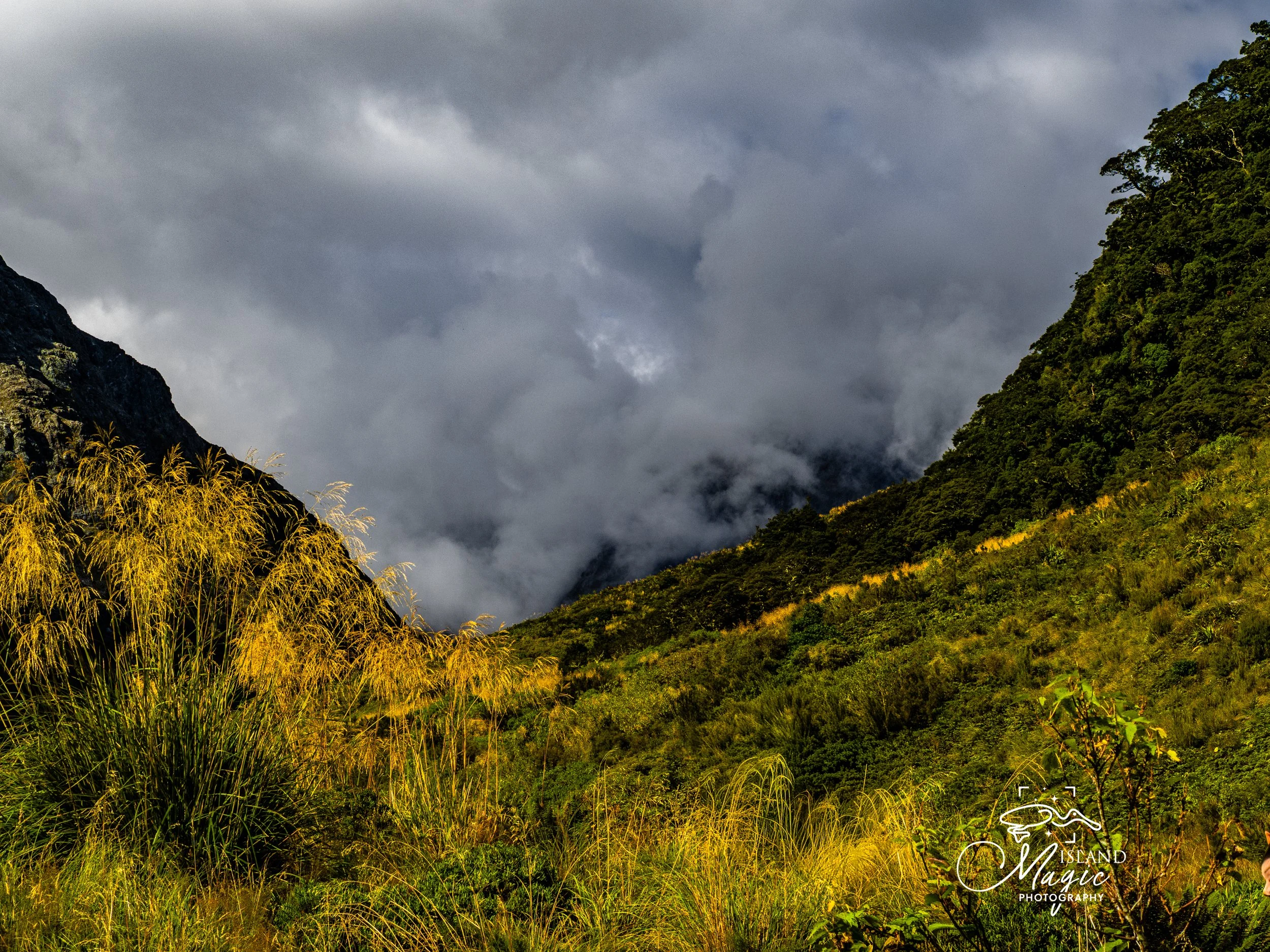 On the way to Milford Sound -3221698.jpg