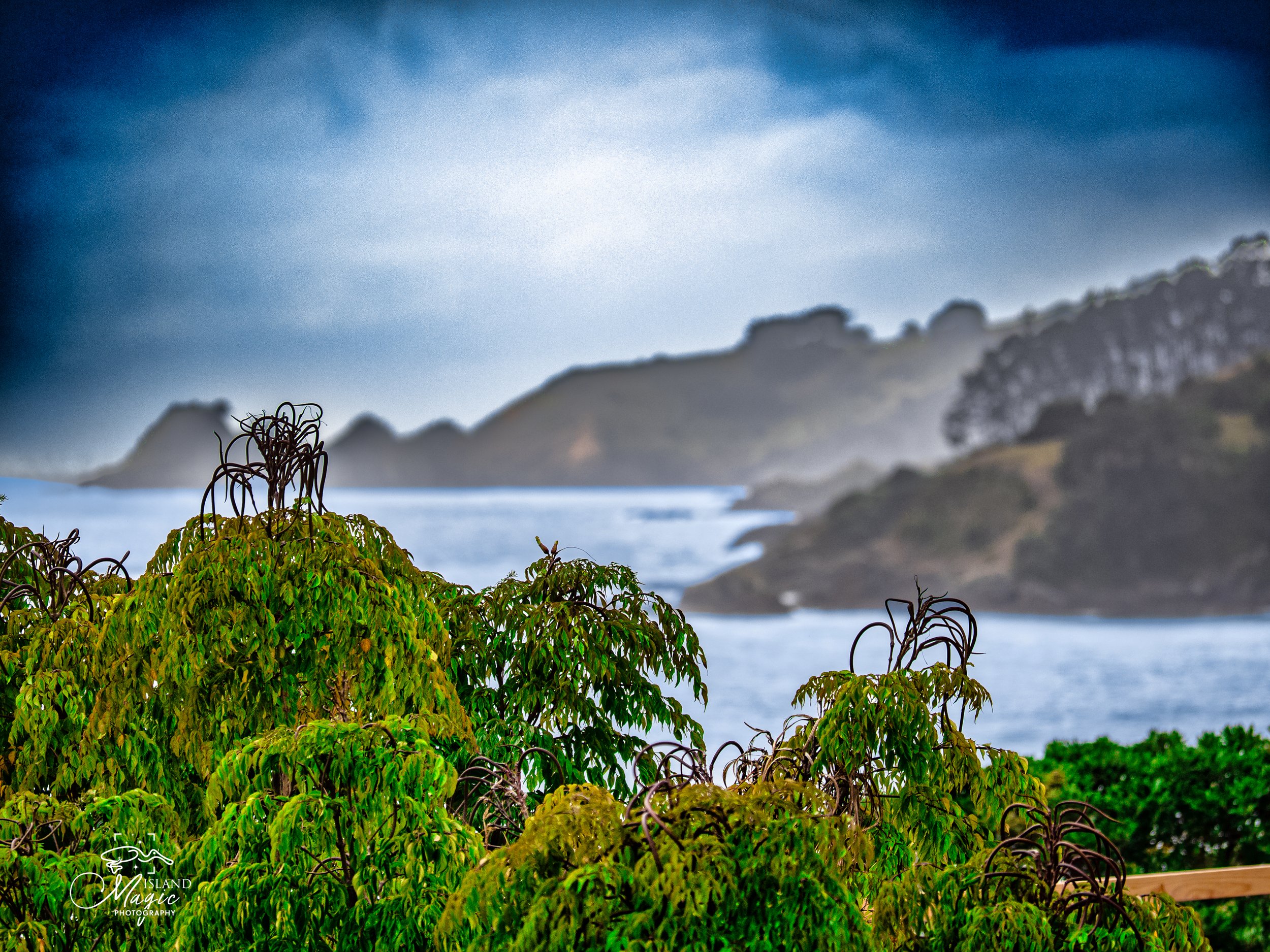 Oneroa Bay 3130025-.jpg