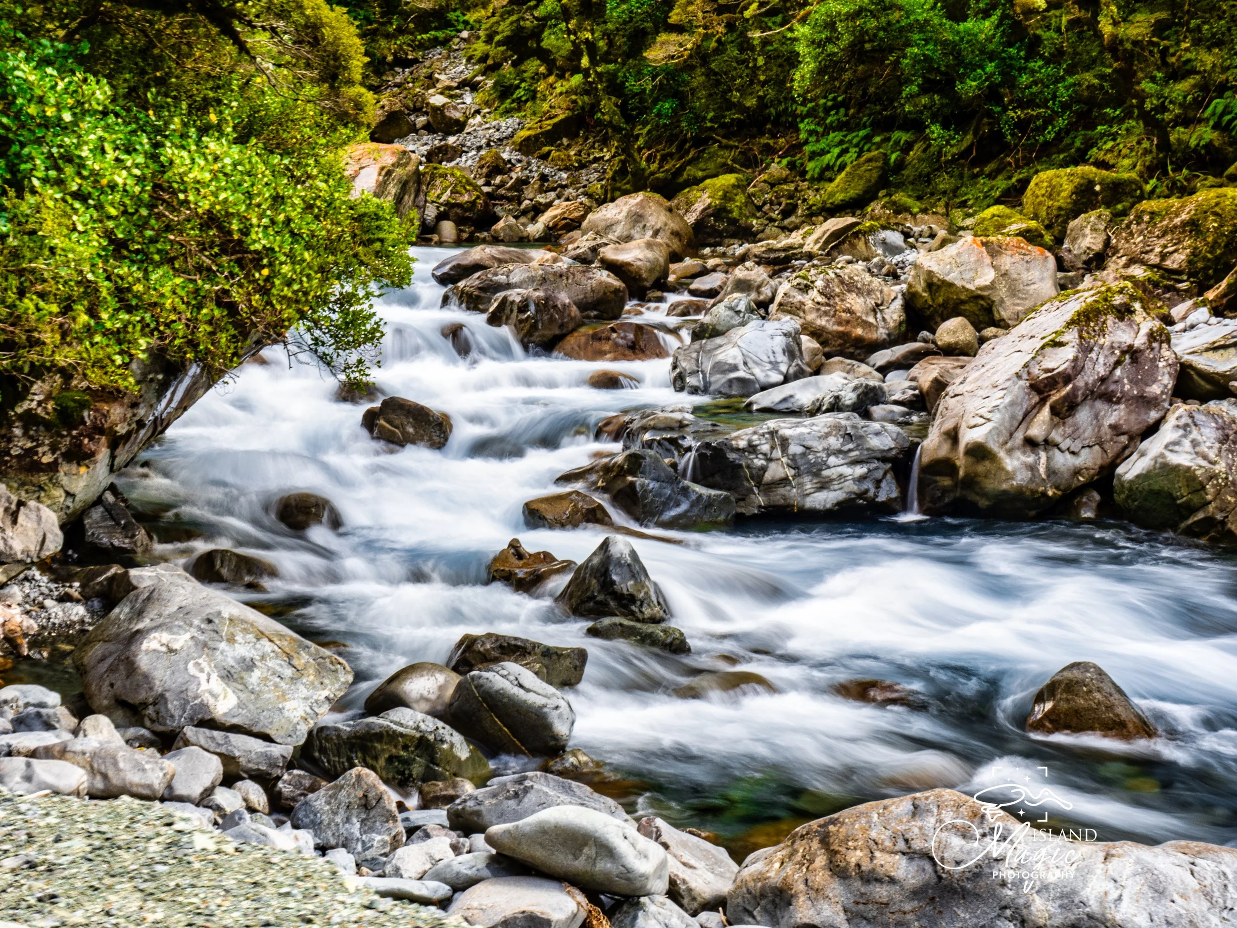 On the way to Milford Sound from Queenstown 3220455-.jpg