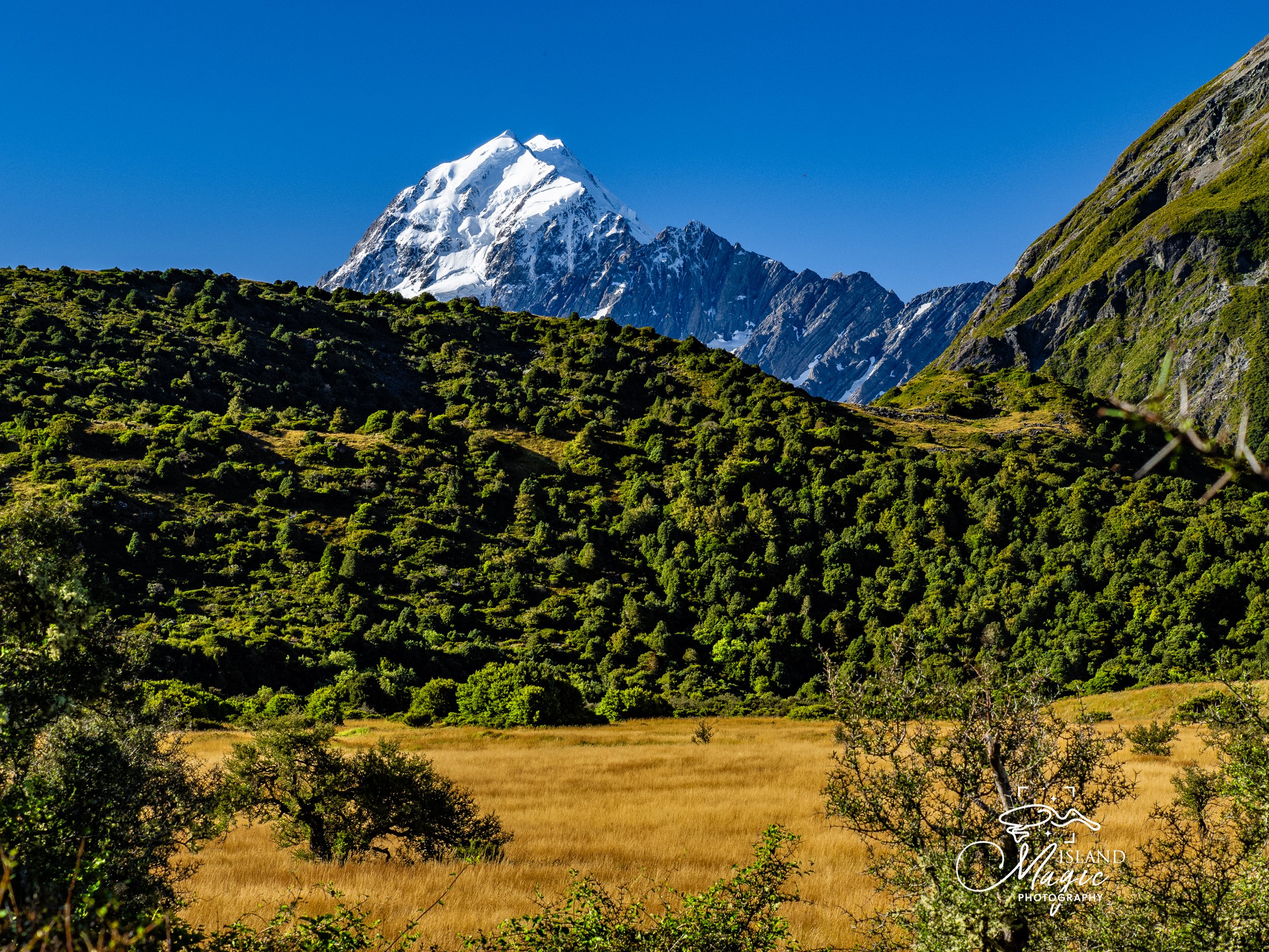 Mt Cook Mountains -3190666.jpg