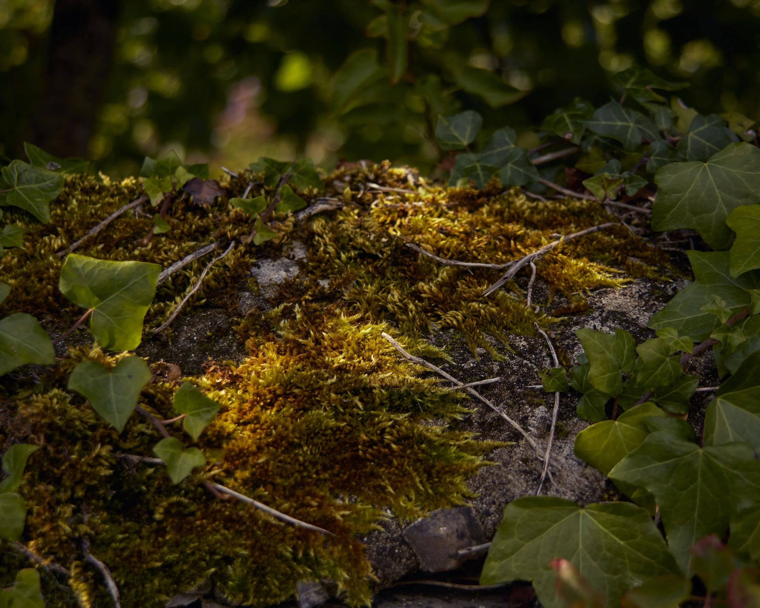 DANIELS-230727-IRELAND-TRIP-038.jpg