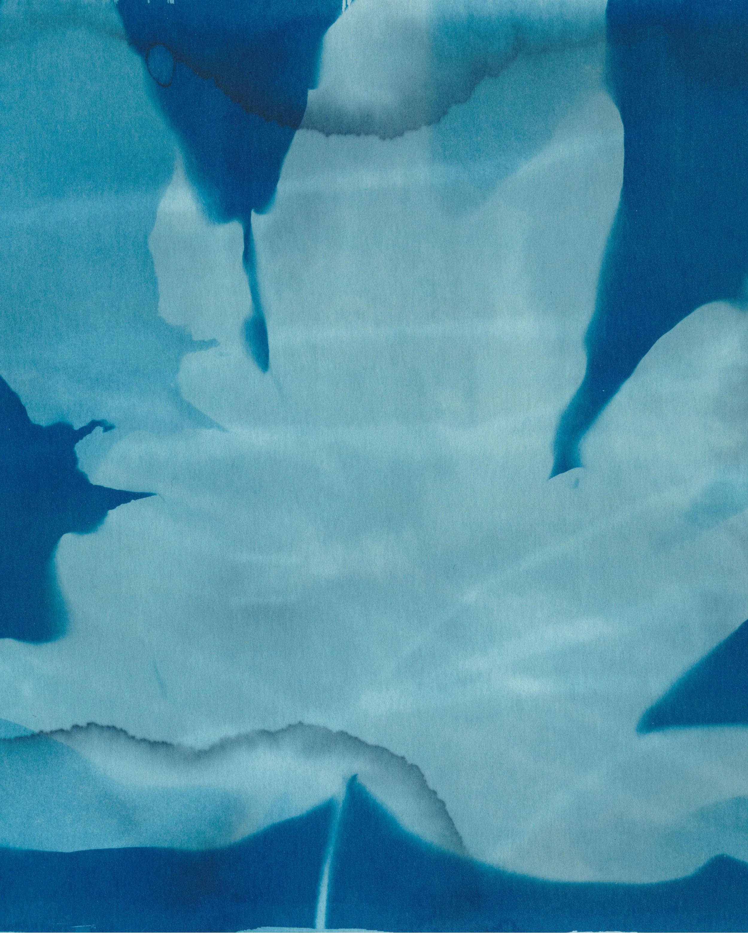 DANIELS-241003-CYANOTYPE-SCANS-0001.jpg